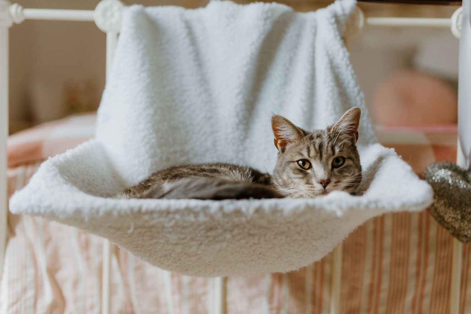 Tabby cat relaxing in cozy white fleece hammock attached to bed frame indoors.