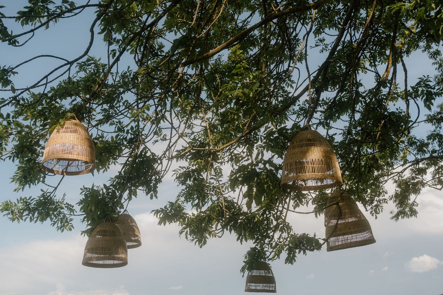 Decorative wicker pendant lanterns hanging from tree branches against blue sky at outdoor event.