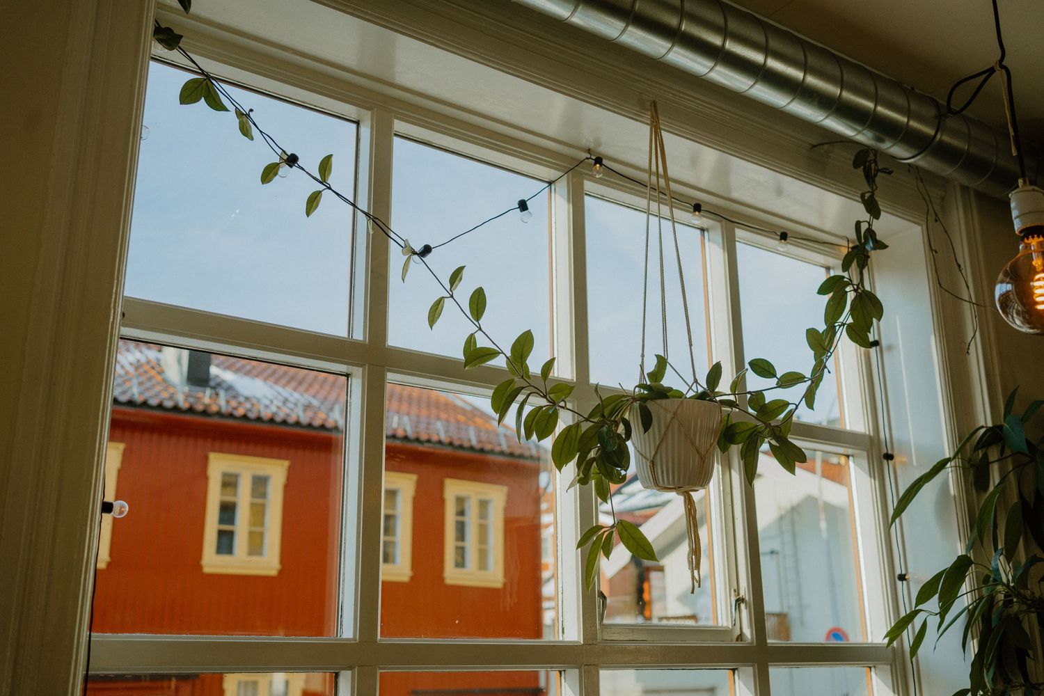 Window view of a red building with hanging plants and string lights creating a cozy atmosphere.