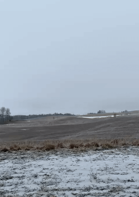 Winter landscape with snow-covered ground and barren rolling hills under an overcast gray sky in the countryside.
