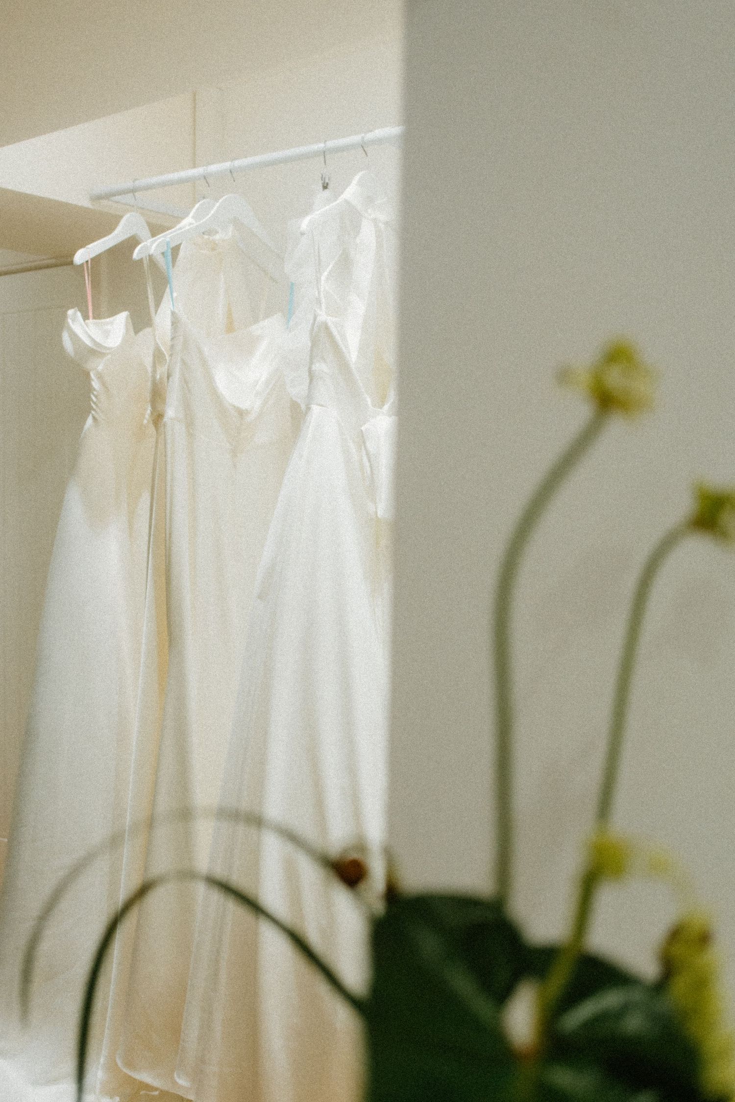 White wedding dresses hang on a clothing rack with soft shadows and green plants in the background.