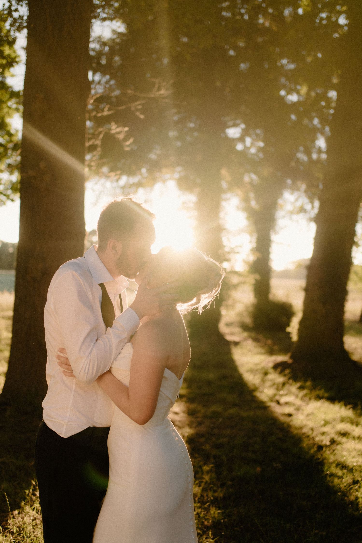 Romantic golden hour photo of bride and groom embracing and kissing between tall trees with sun rays shining through.
