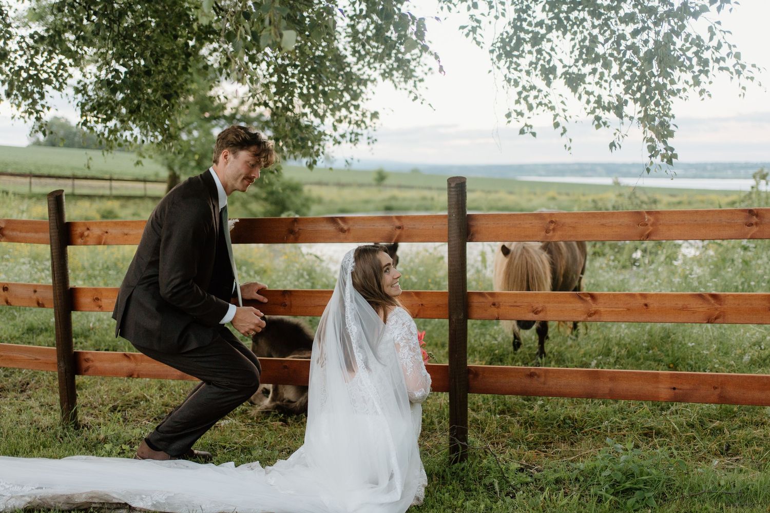 Bride and groom pose by rustic wooden fence with horses grazing in background at countryside wedding.