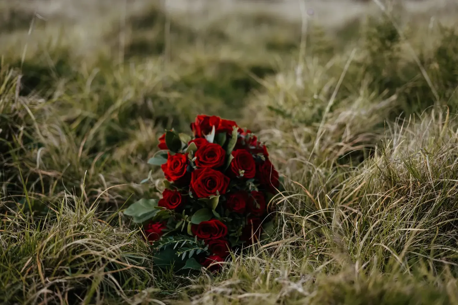A vibrant red rose wedding bouquet lying in dry grass.