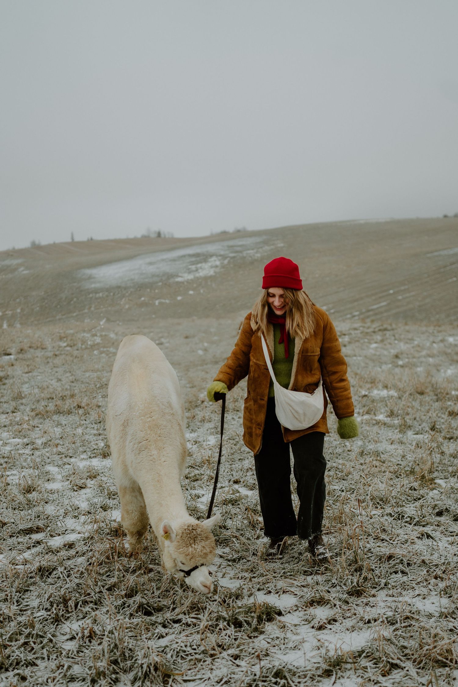 A person in a brown coat and red beanie walks their large white dog on a misty winter hillside.