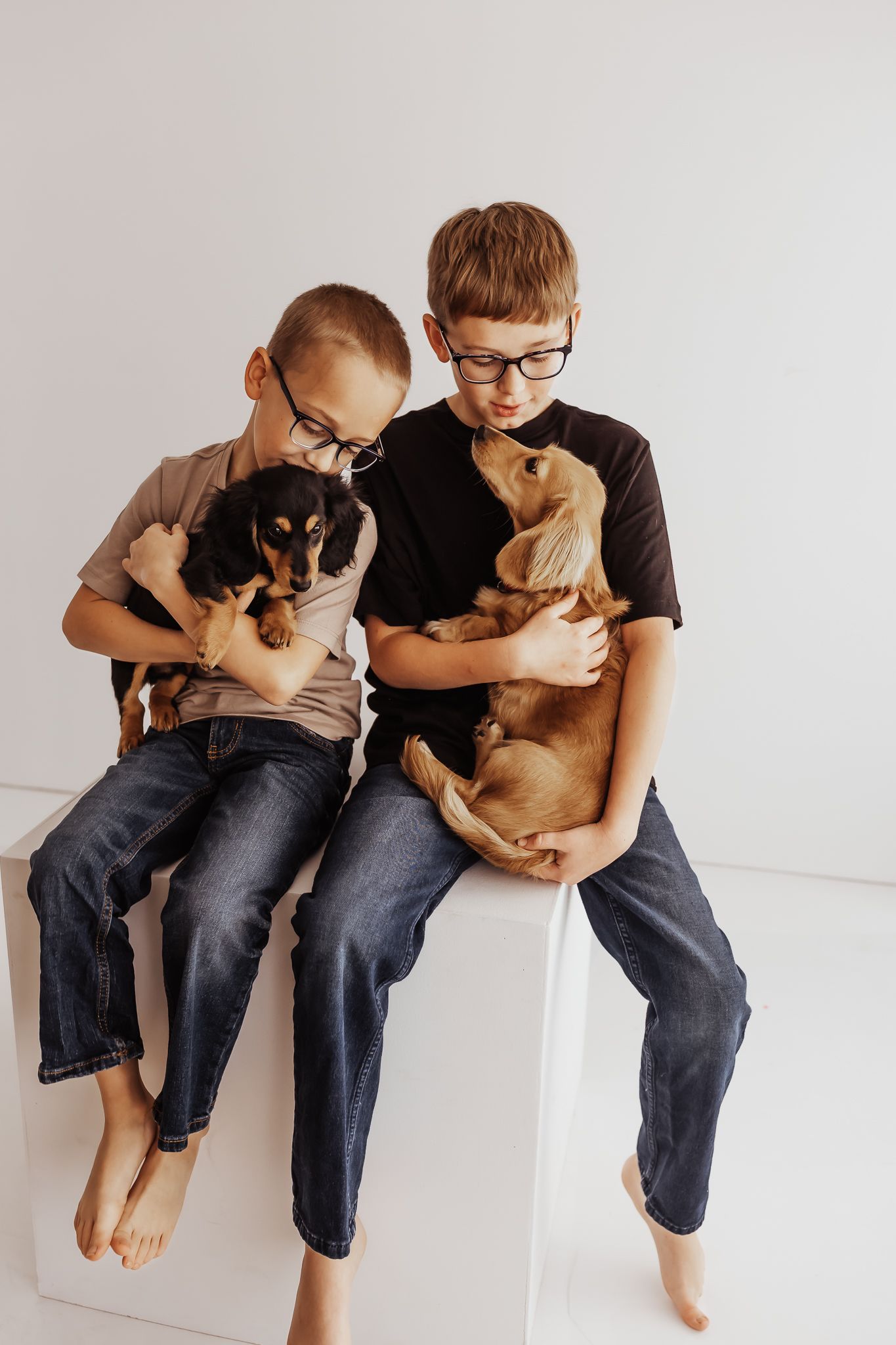 Two boys with glasses sitting together each holding a dachshund puppy in a white studio.