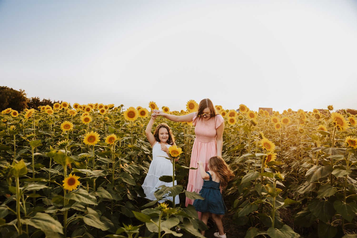 There sisters twirling joyfully in a vibrant sunflower field at golden hour.