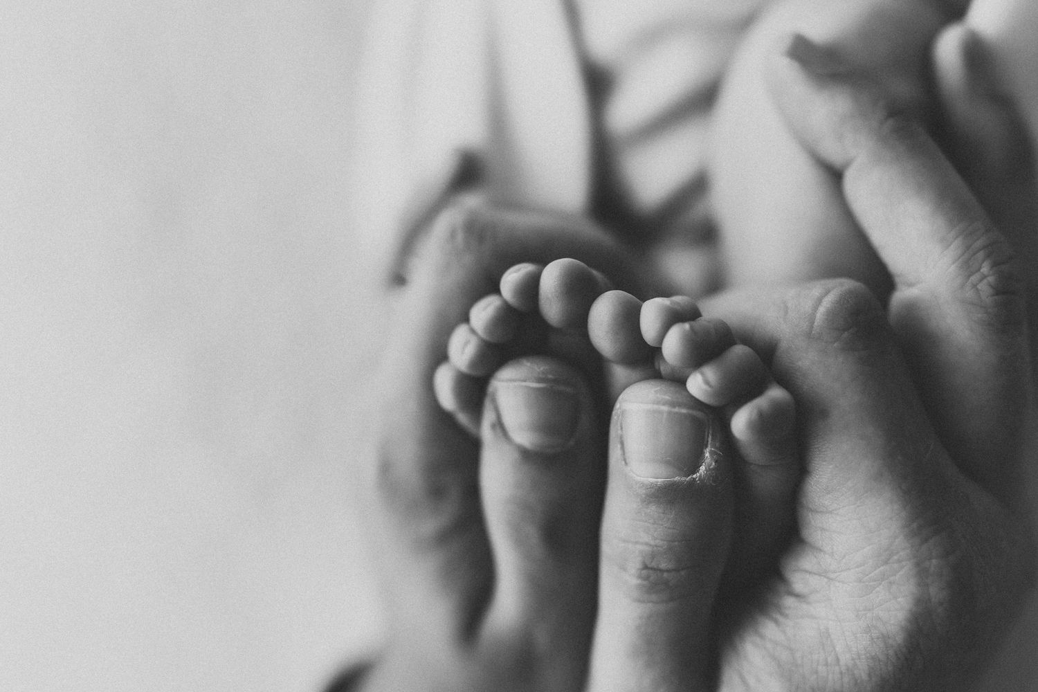 Black and white photo of a parent cradling tiny newborn baby feet in their hands.