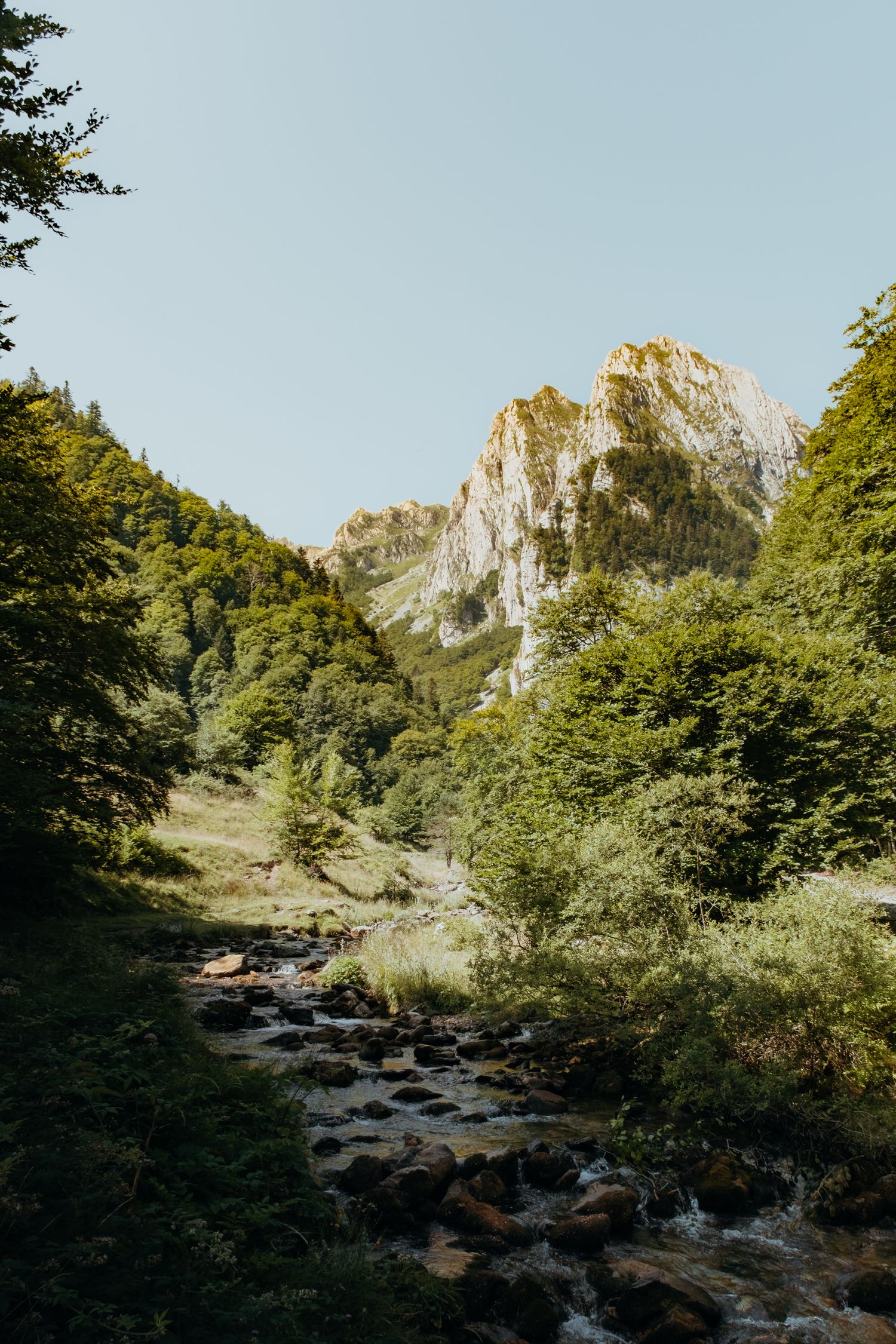 Photo d'un paysage de montagne avec une rivière