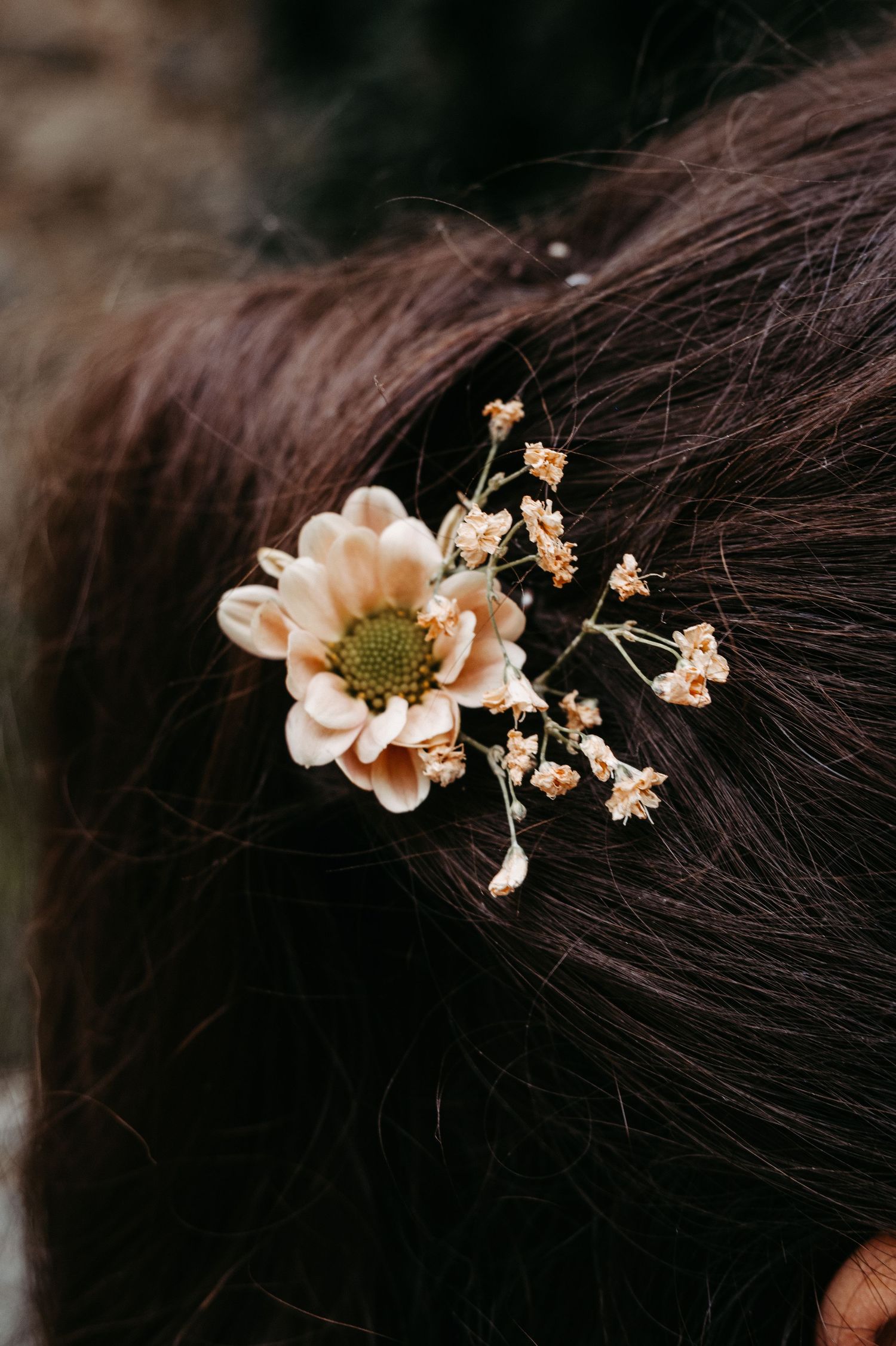 Close-up of delicate cream flower hair accessory with baby's breath in bride's dark brown hair.