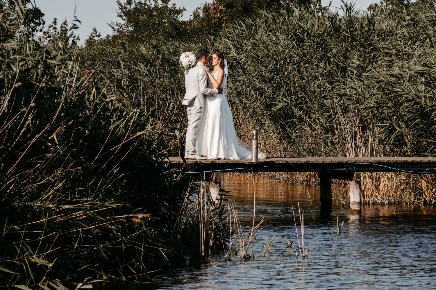 Bride and groom share a romantic kiss on a wooden dock surrounded by lush green reeds over calm water.