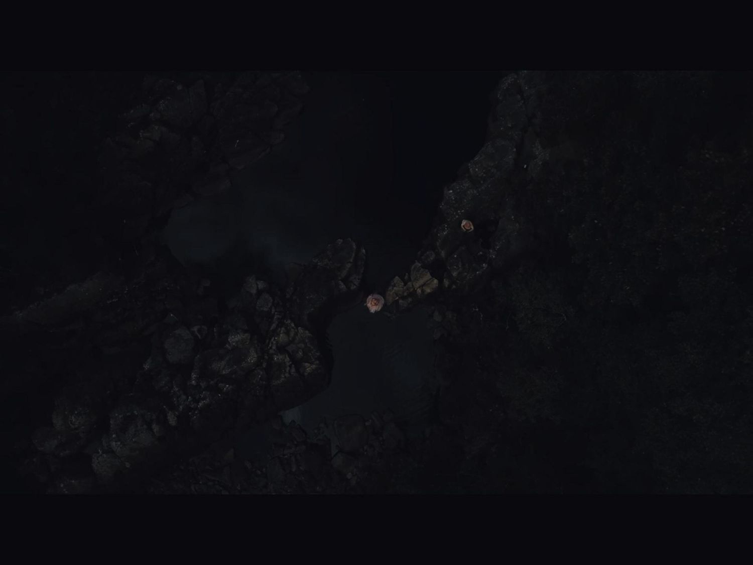 Small pink spots and faint circular patterns scattered across a dark black background in abstract composition.