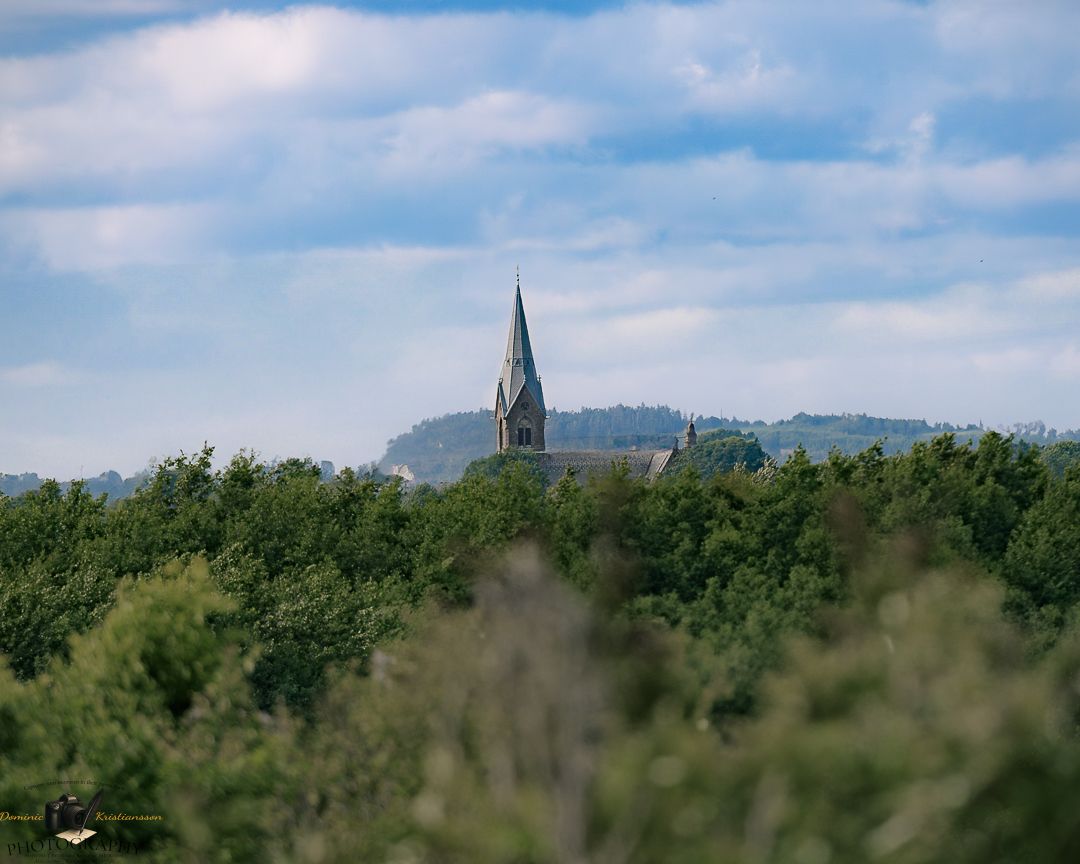 Panoramic landscape view with distant mountain church spire visible through blurred foliage.