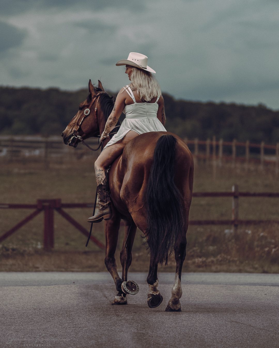 A horse and rider walking away on a misty dirt path through a rural field with fencing.