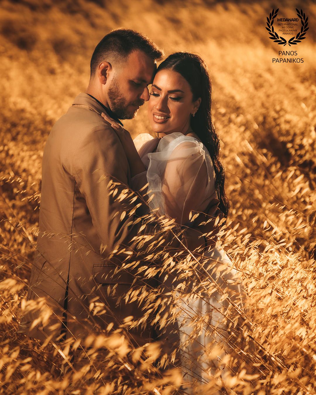 Couple embracing in golden wheat field during sunset creating romantic atmosphere.