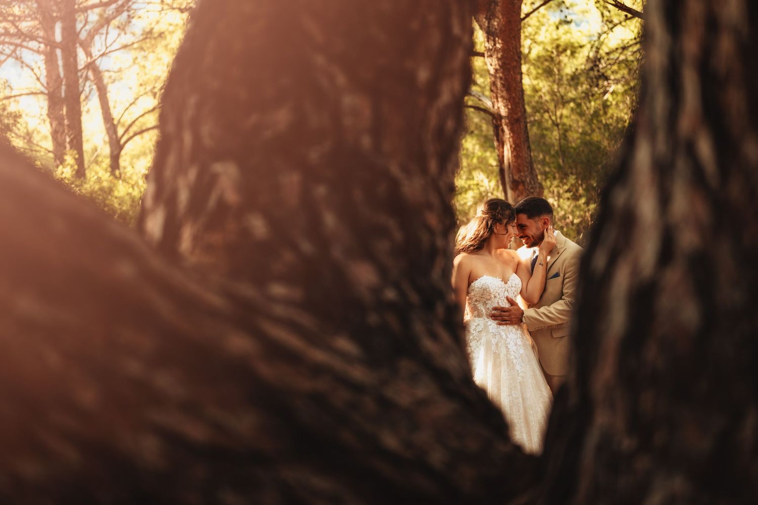 Romantic forest scene bathed in warm sunset light filtering through trees.