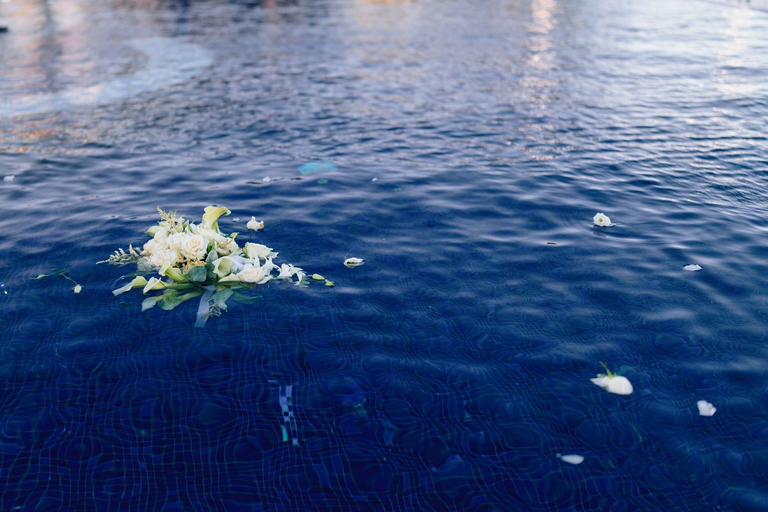 Calm blue ocean water with scattered white flower petals floating on the surface.