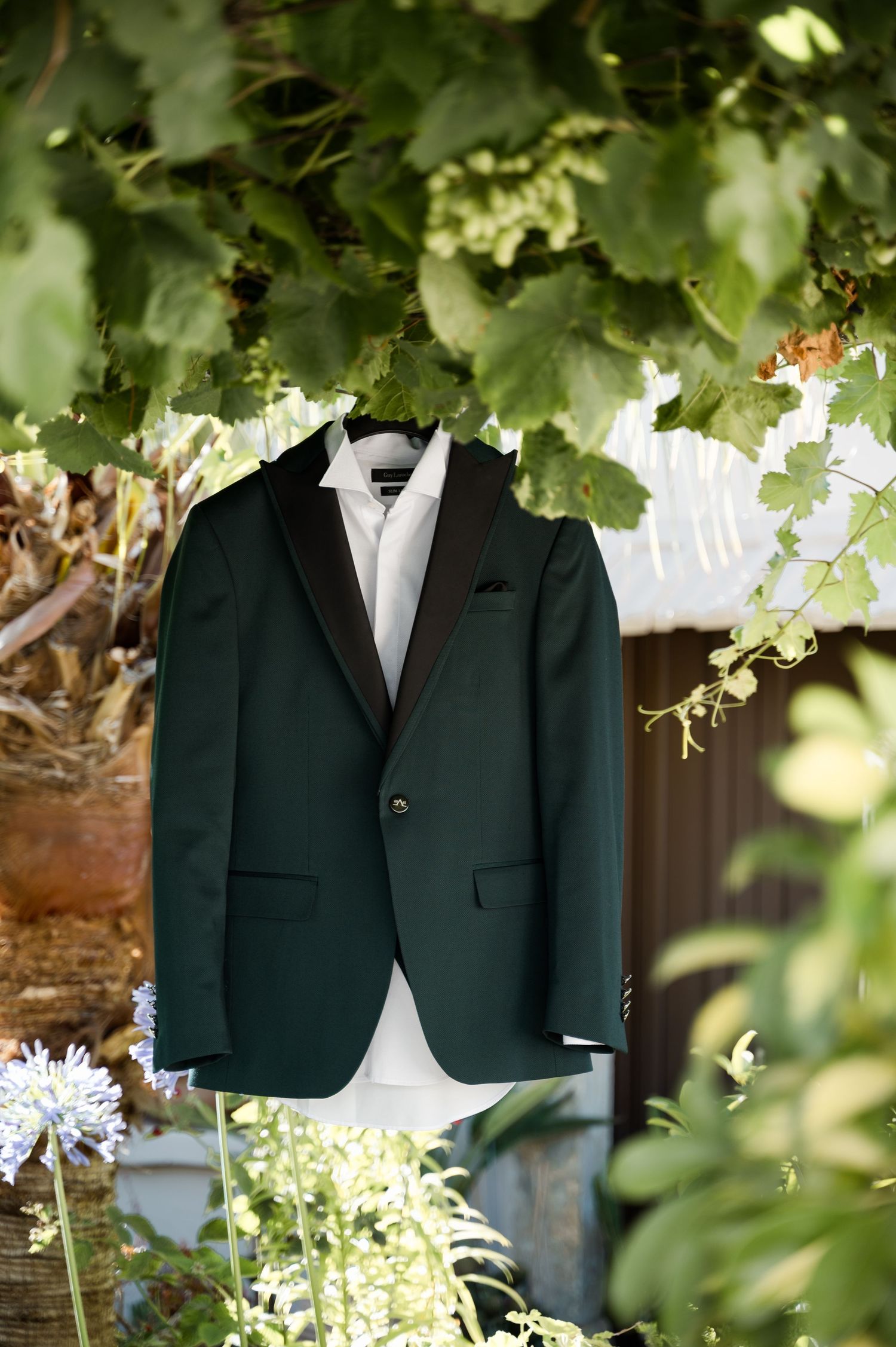 Dark green wedding suits hanging among green foliage and natural light.
