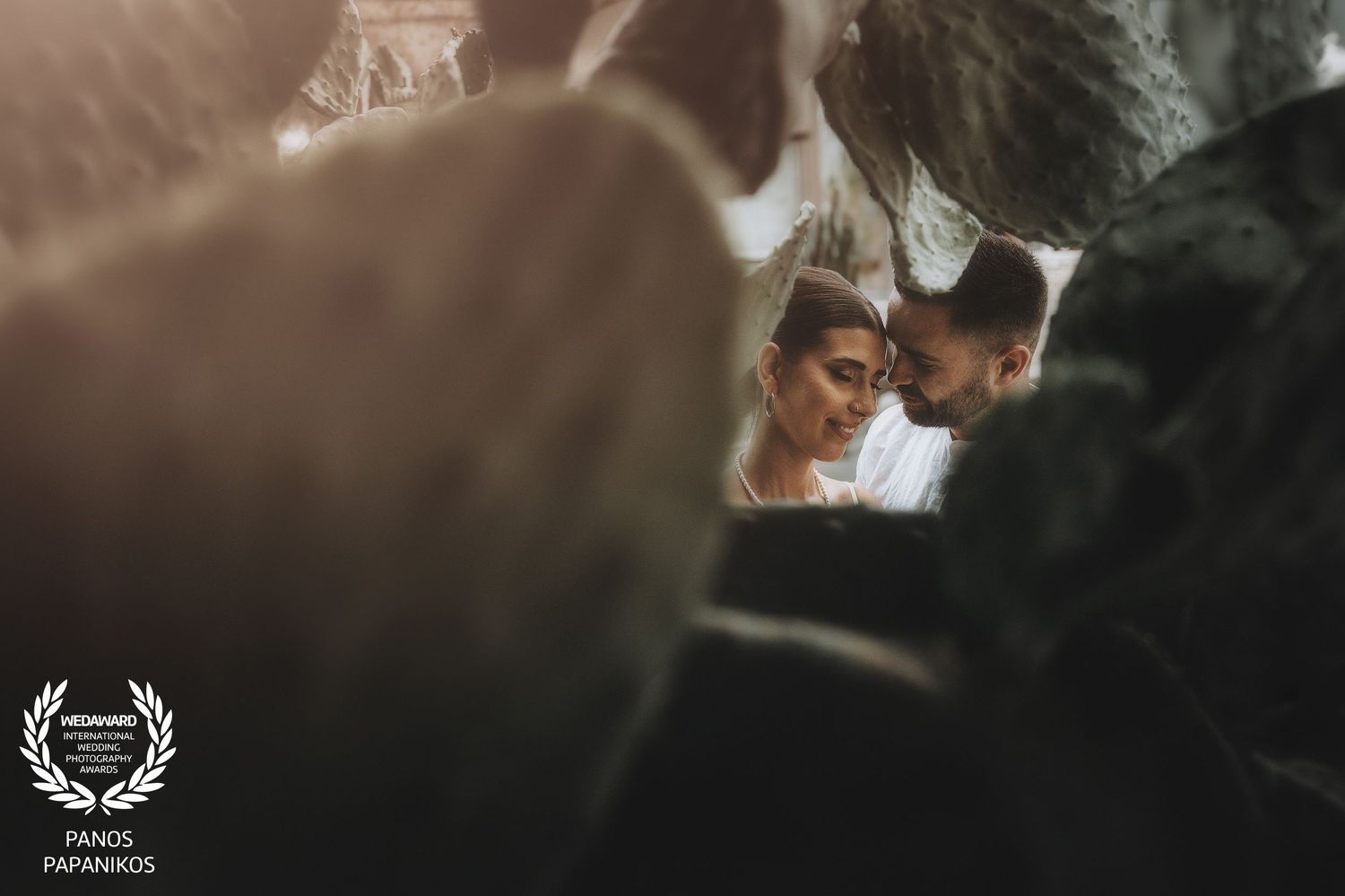 Intimate wedding moment captured through blurred foreground elements.