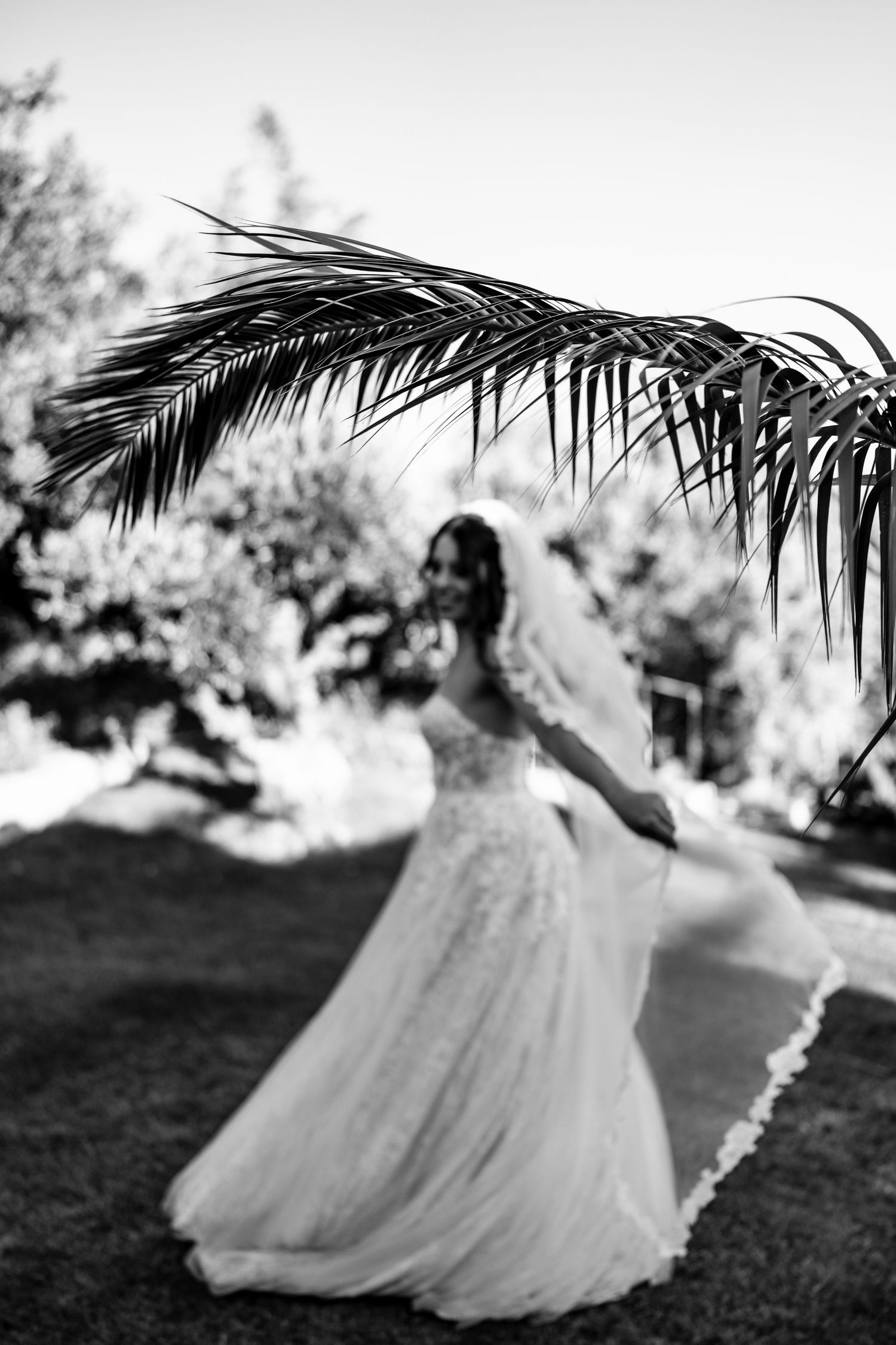 Black and white portrait of bride dancing with her veil under tropical foliage.