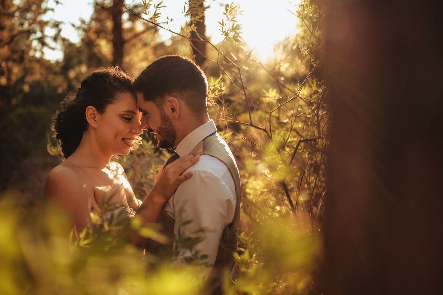 Romantic wedding couple embraces in warm golden sunlight filtering through trees.