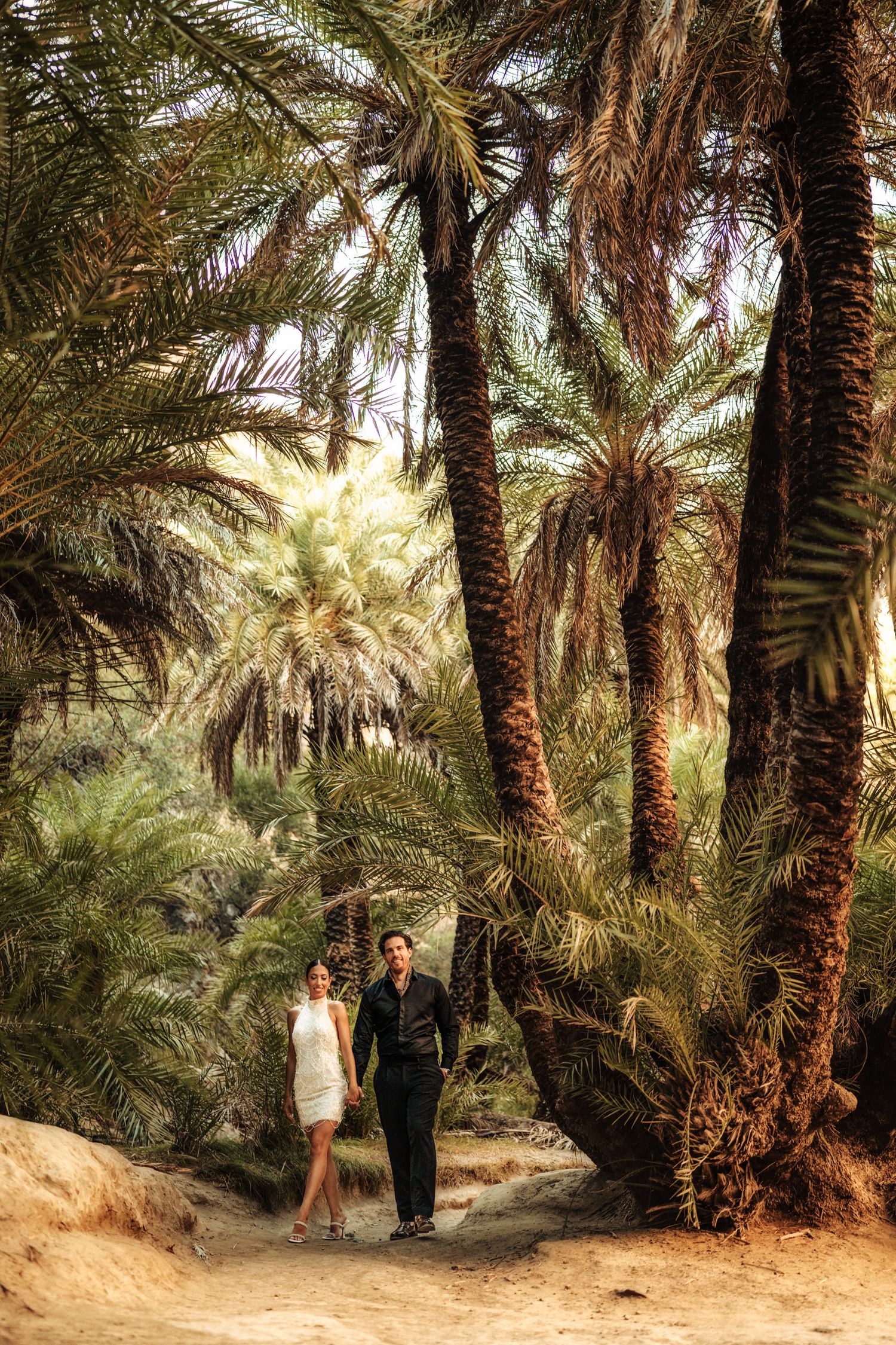 Romantic walk through a lush palm tree grove with golden sunlight filtering through.
