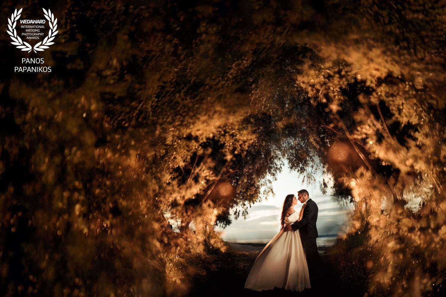 Dramatic nighttime wedding photography with illuminated trees creating a magical atmosphere.