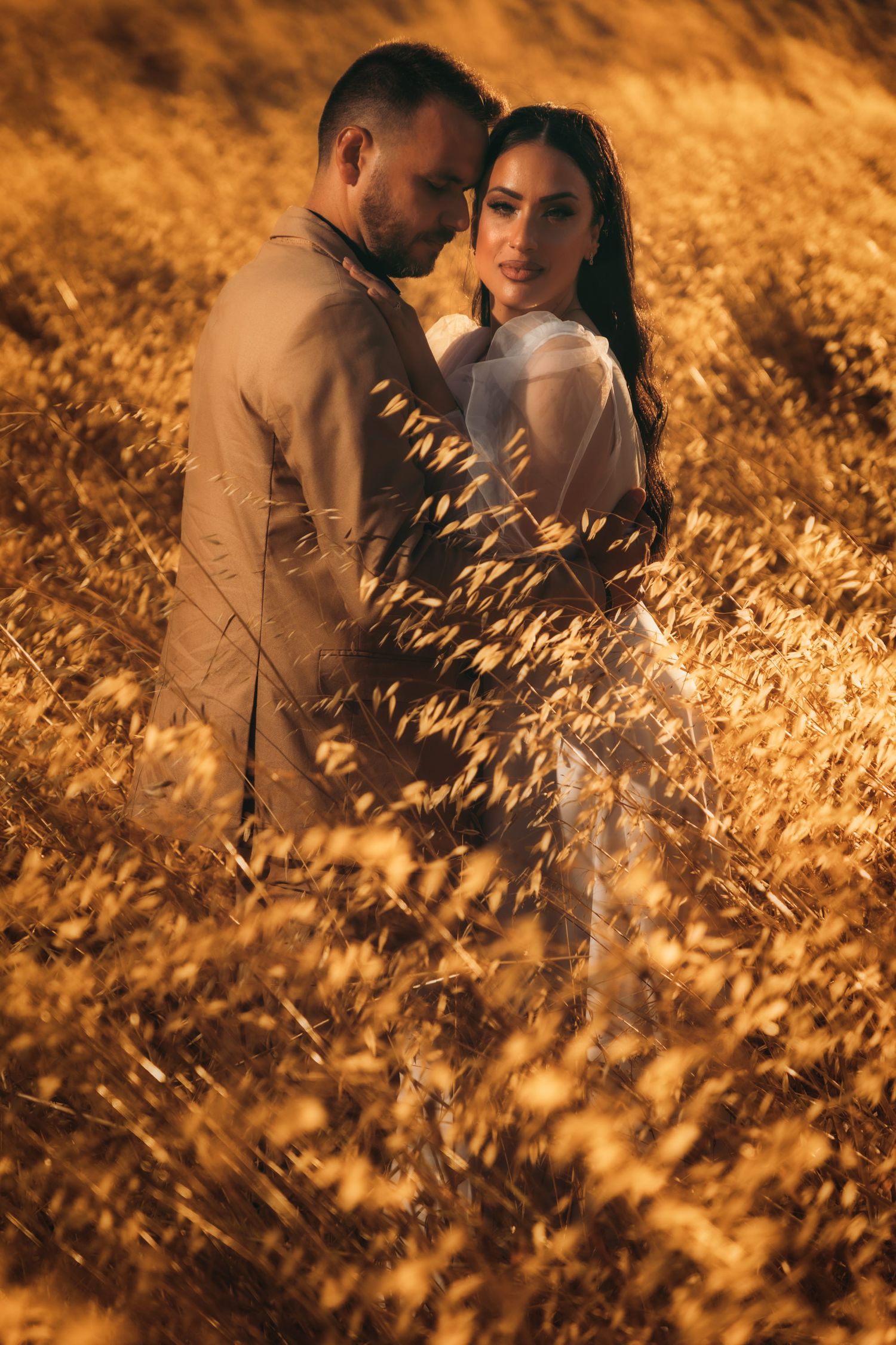 Romantic couple embracing in tall golden grass during sunset.