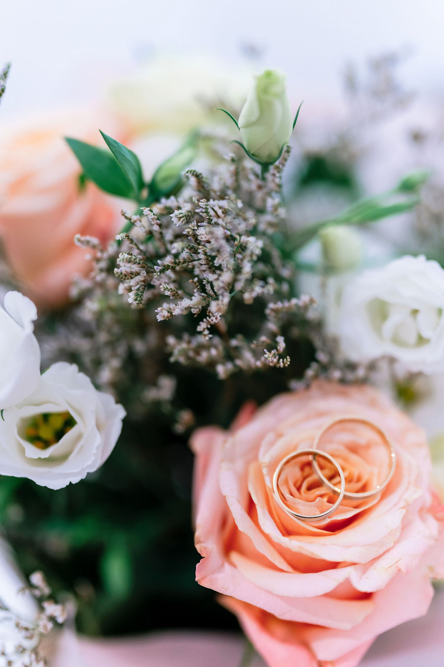 Close-up of pink and white roses with delicate baby's breath flowers.