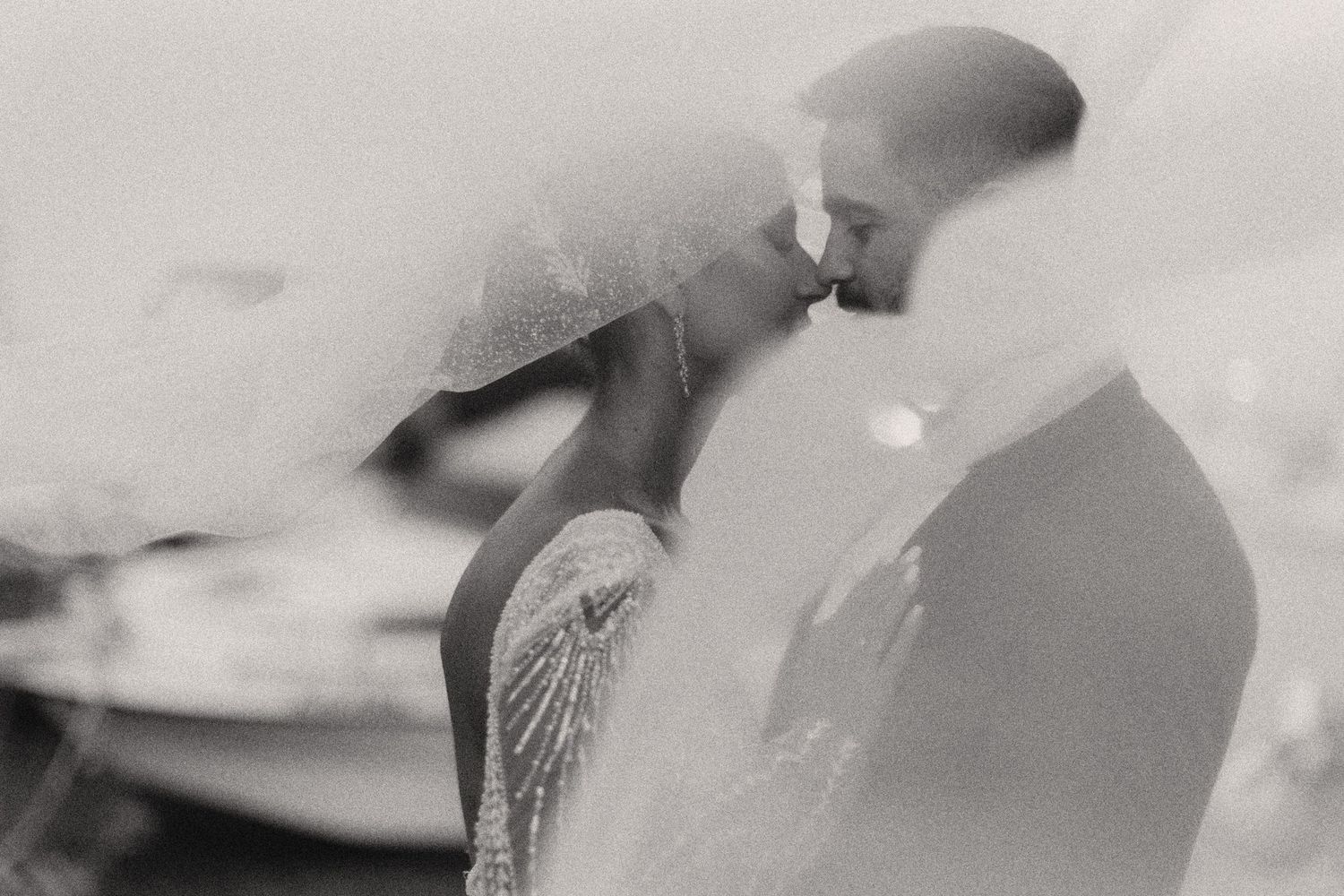 Artistic black and white close-up shots showing delicate details and soft focus elements.