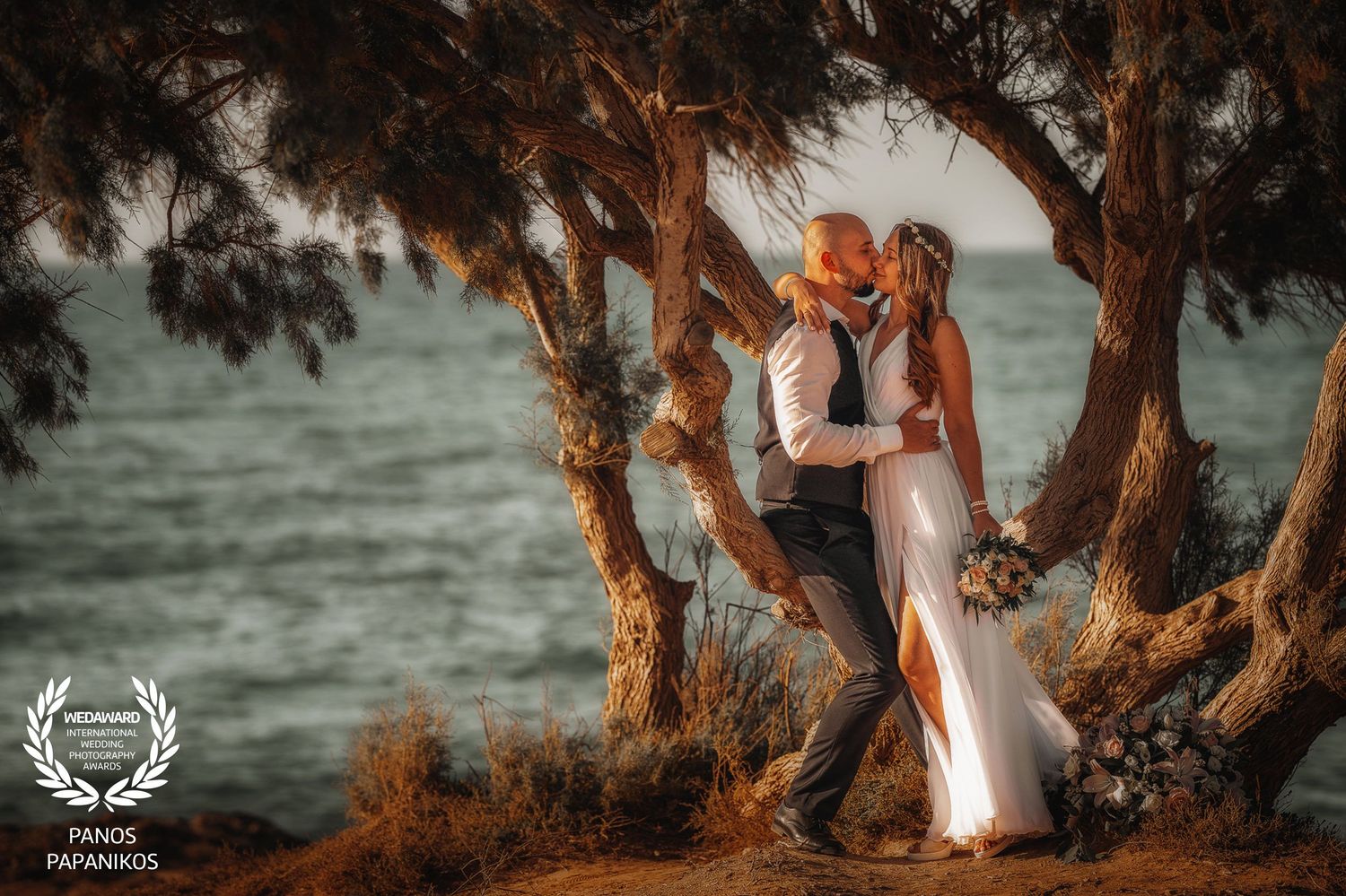 Wedding photography among palm trees at golden hour by the ocean.