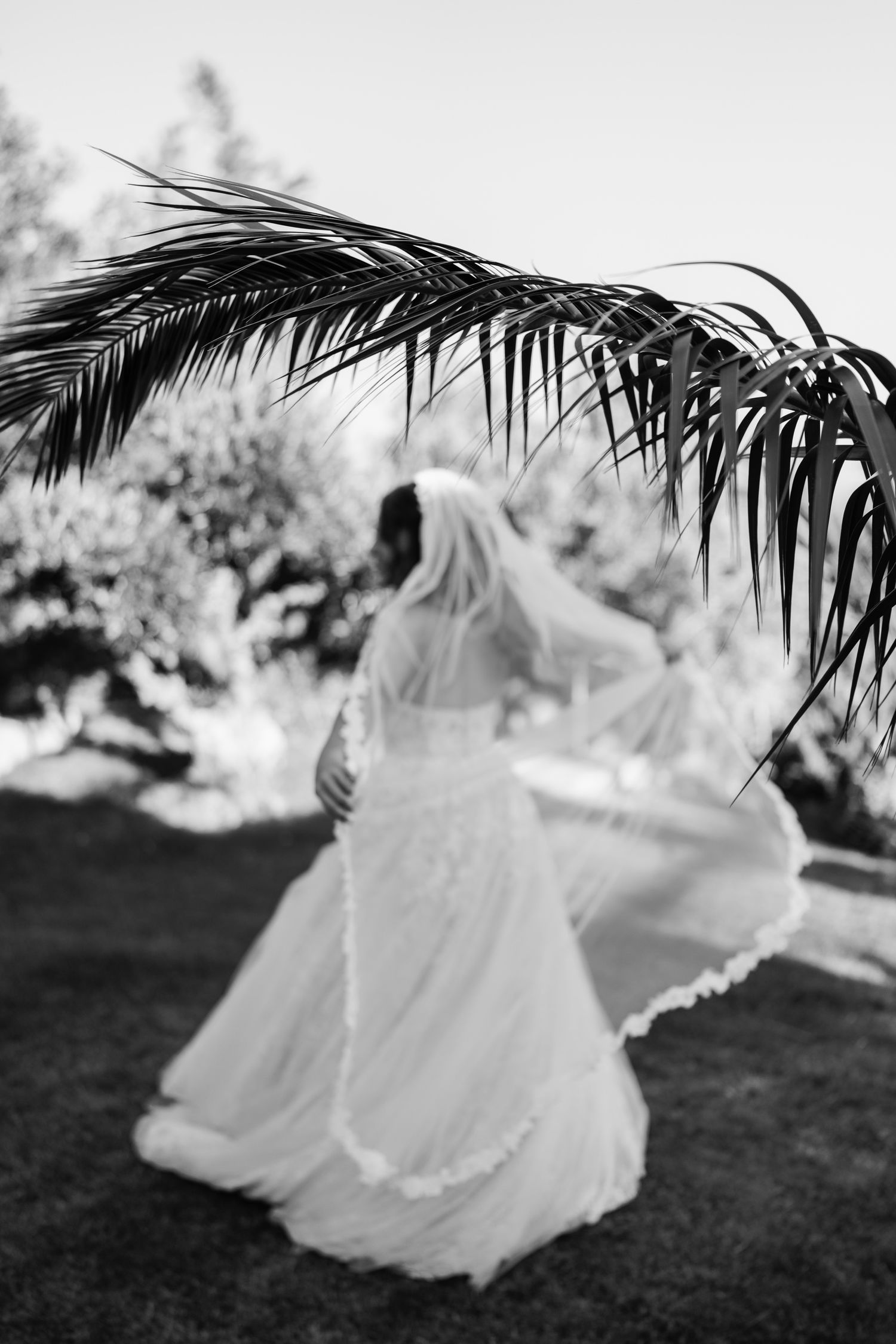 Black and white photo of bride twirling under palm fronds in flowing wedding dress.