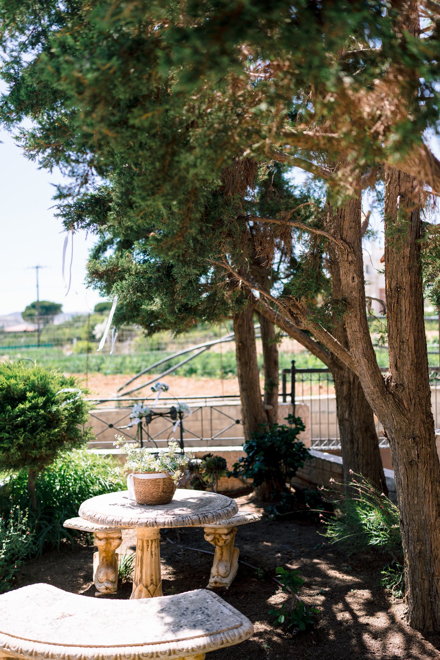 Outdoor garden setting with stone benches and tall trees creating natural shade.