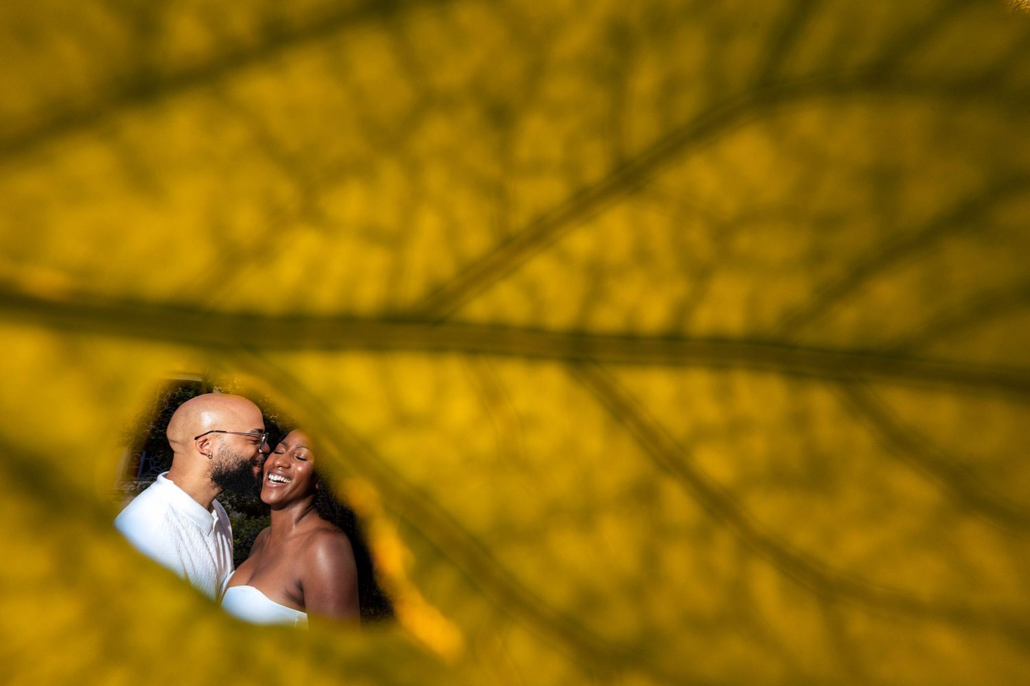 Romantic sunset silhouettes with golden light creating dramatic shadows.