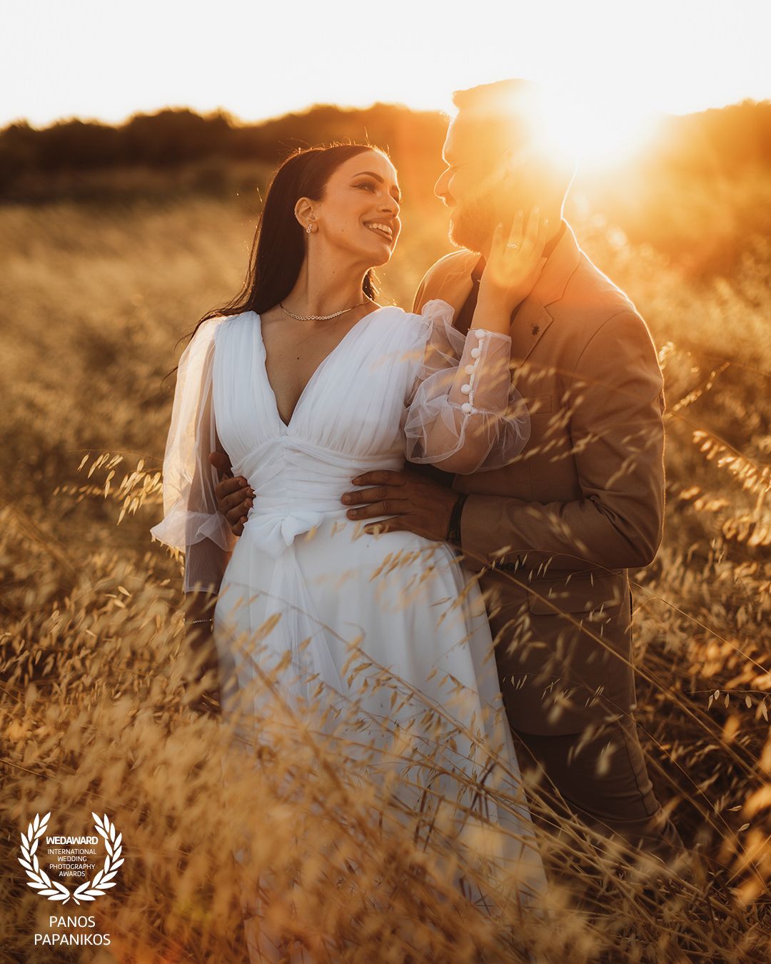 Golden hour wedding photography in tall grass field with warm sunset lighting.