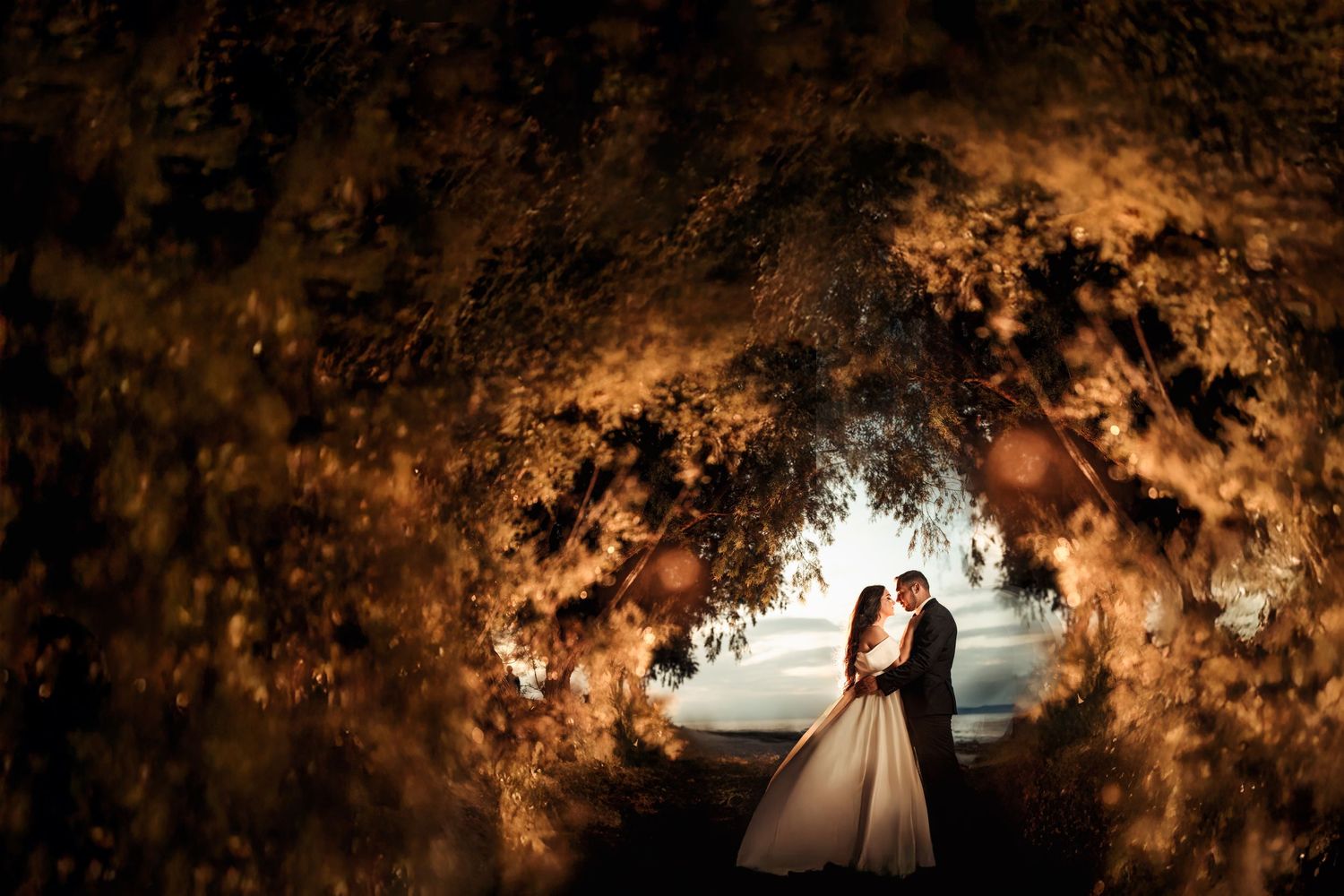 Dreamy wedding photo with couple silhouetted in glowing tunnel of illuminated trees.