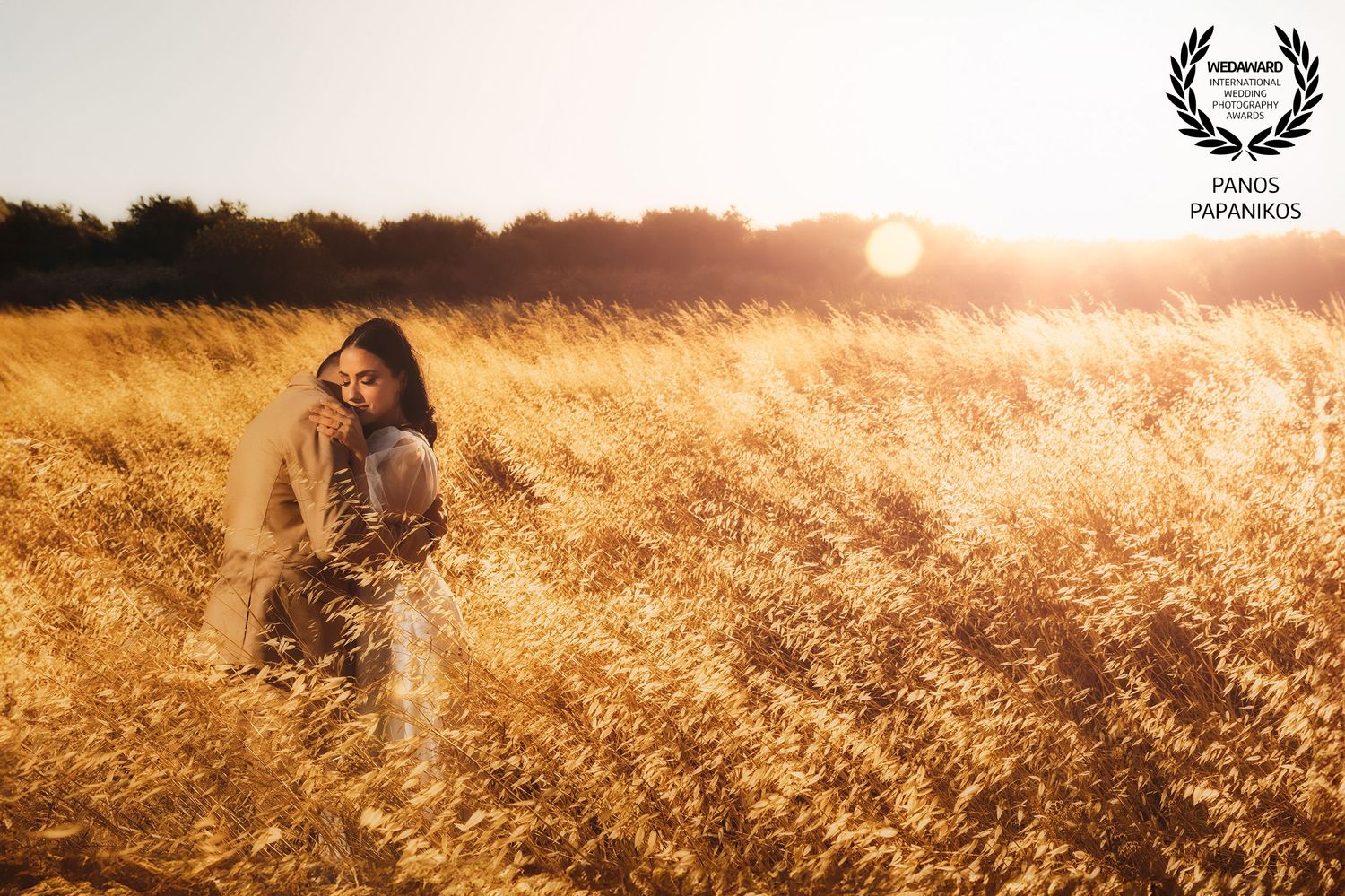 Wedding couple embracing in golden wheat field at sunset with warm glowing light.