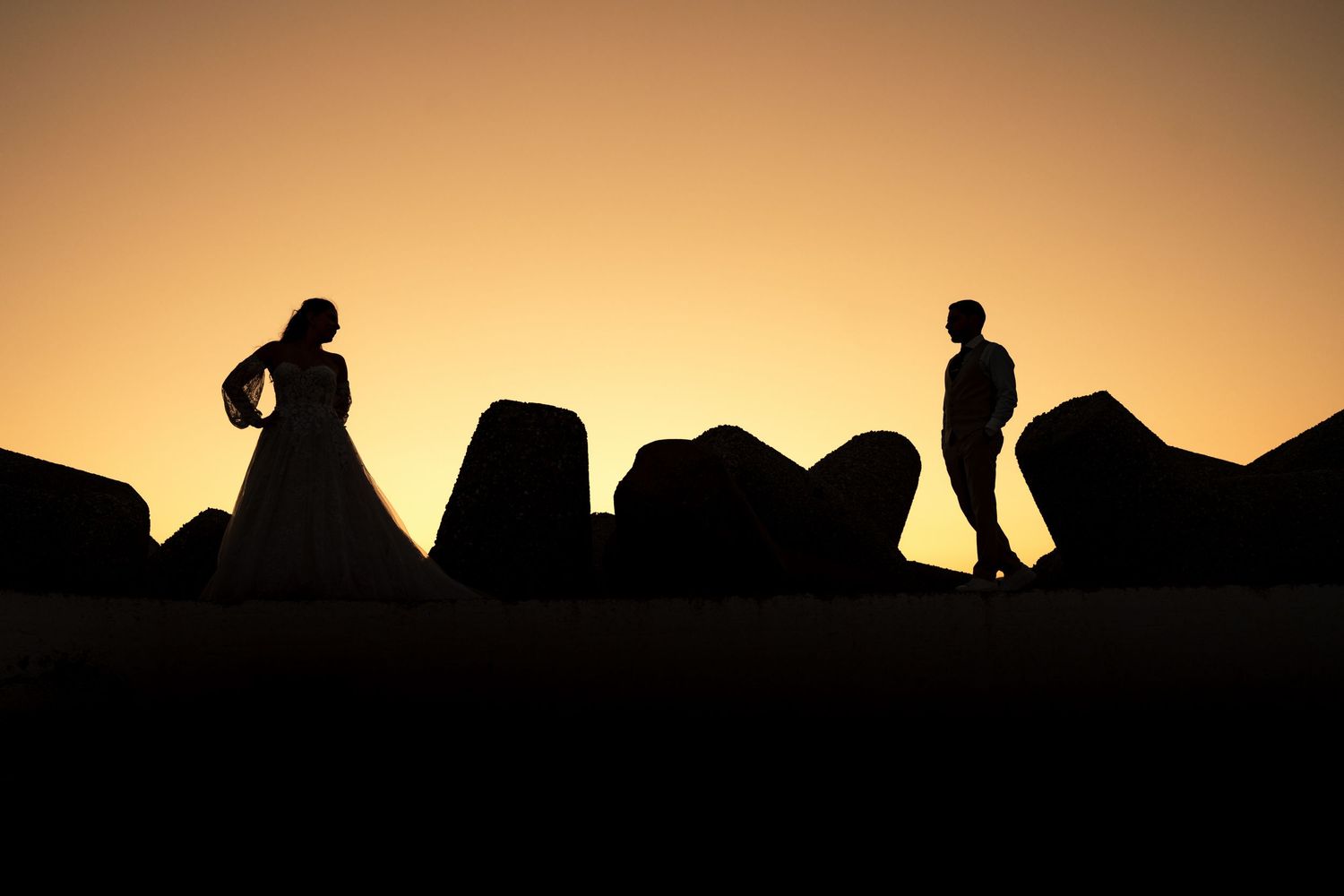 Silhouetted figures and landscape elements create a dramatic sunset panorama.