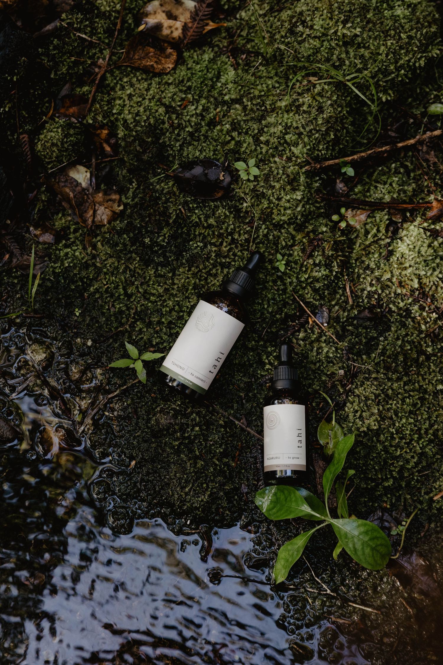 Skincare products floating on dark water surface among green aquatic plants.