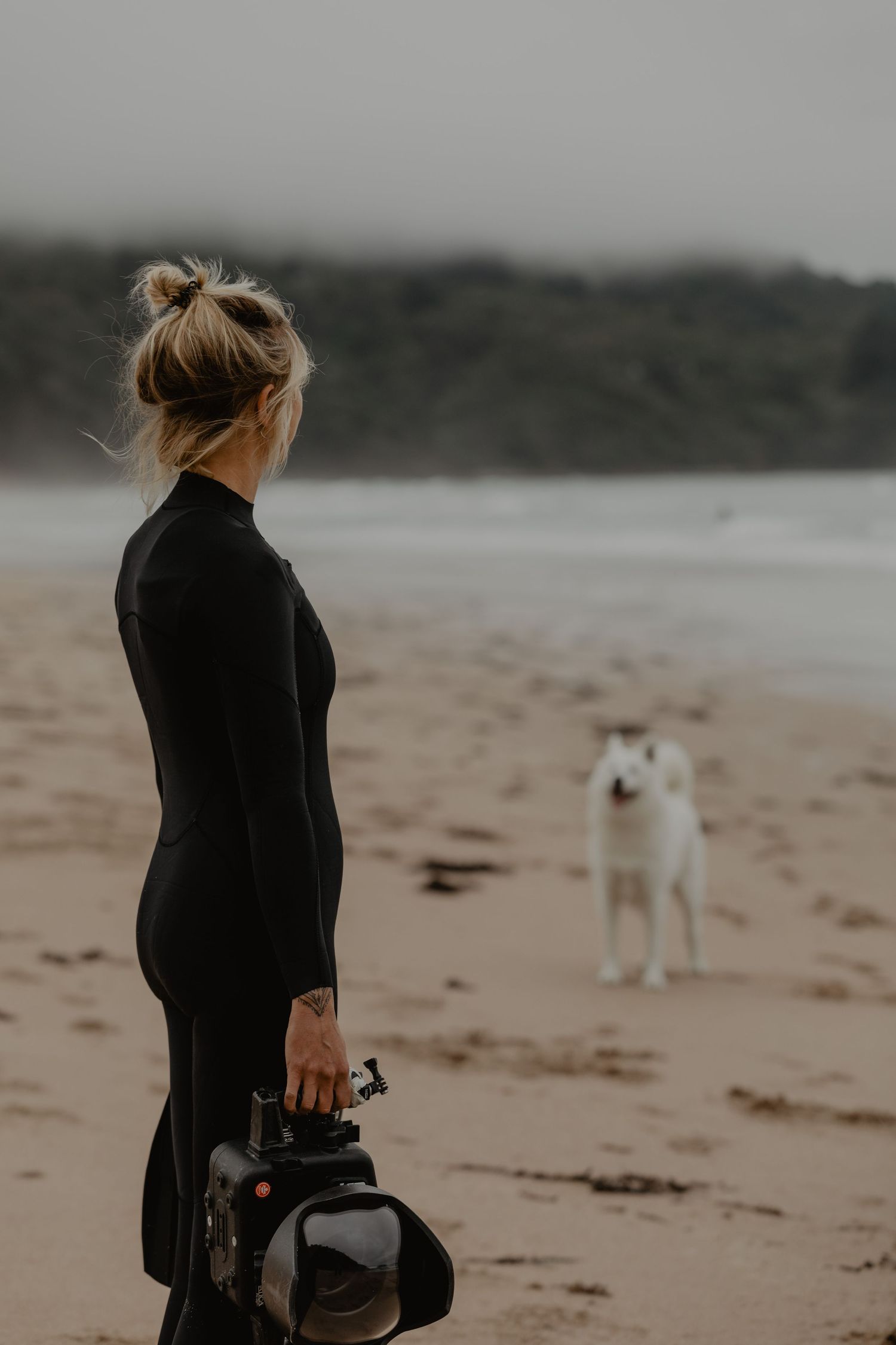 A person in black walks along a beach with a white dog following behind.