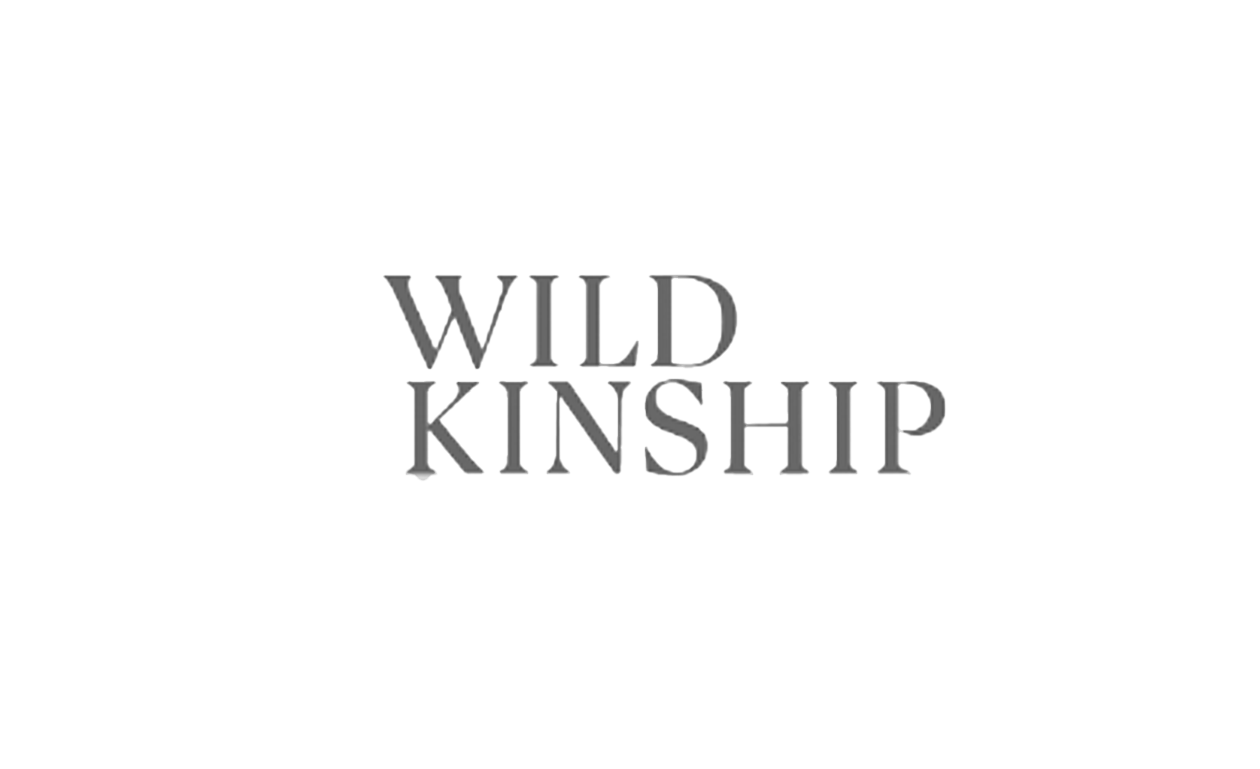 Stylized text design featuring the word 'WILD KINSHIP' in elegant typography.