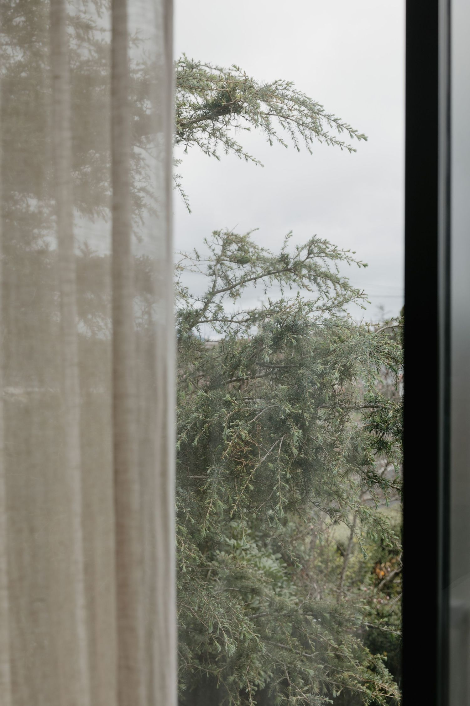 Sheer white curtains filter natural light through tall windows with trees visible outside.