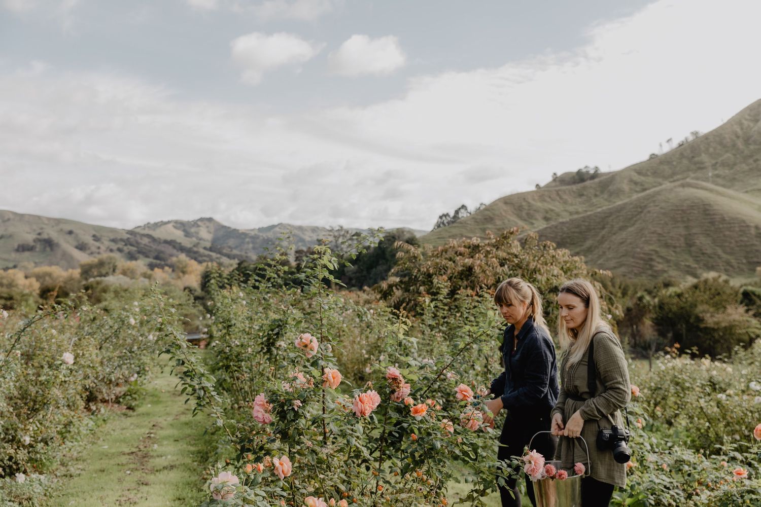 People walking through a scenic mountain flower garden.
