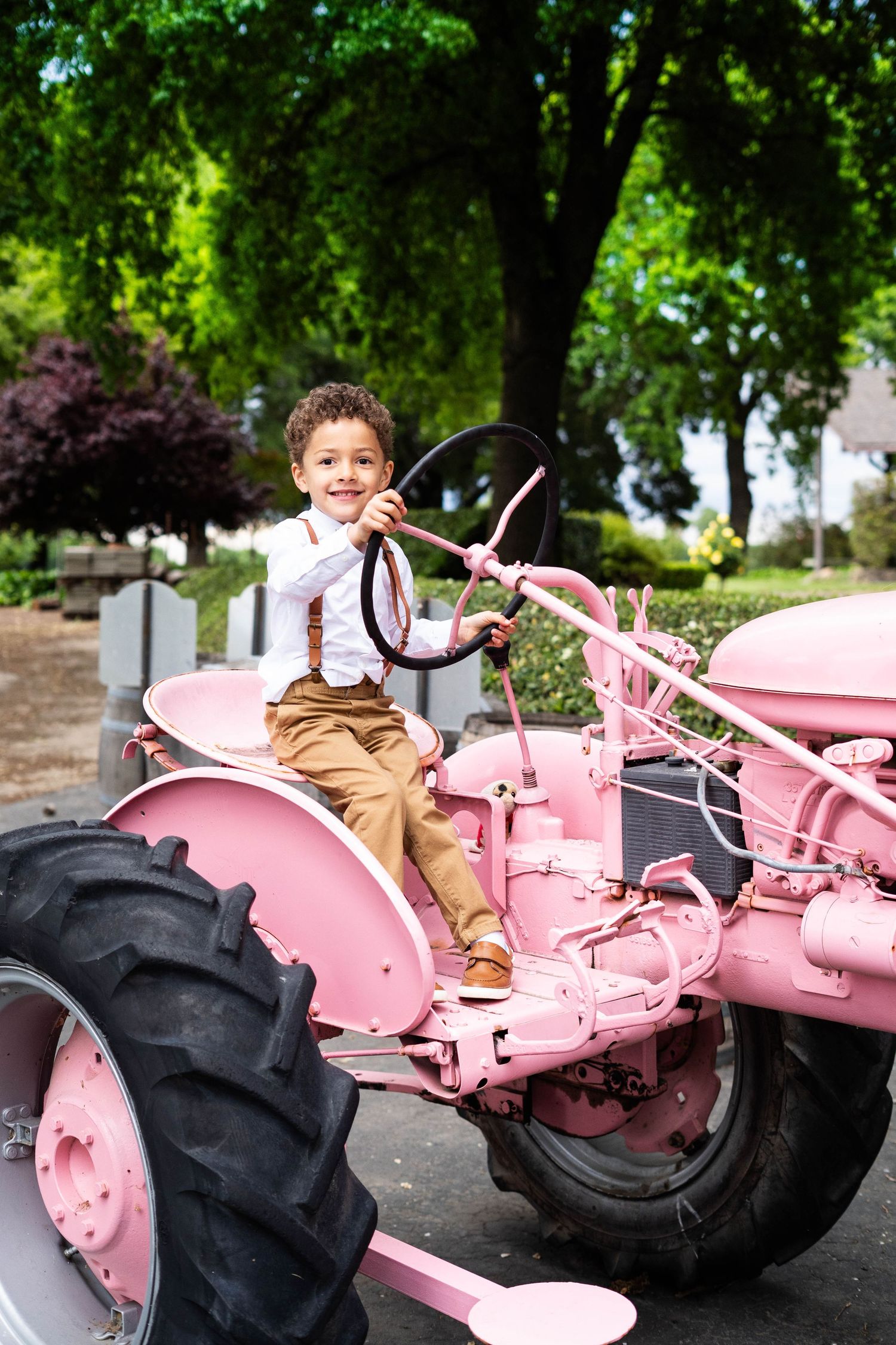 A pink vintage tractor displayed outdoors with large black wheels against a green background.