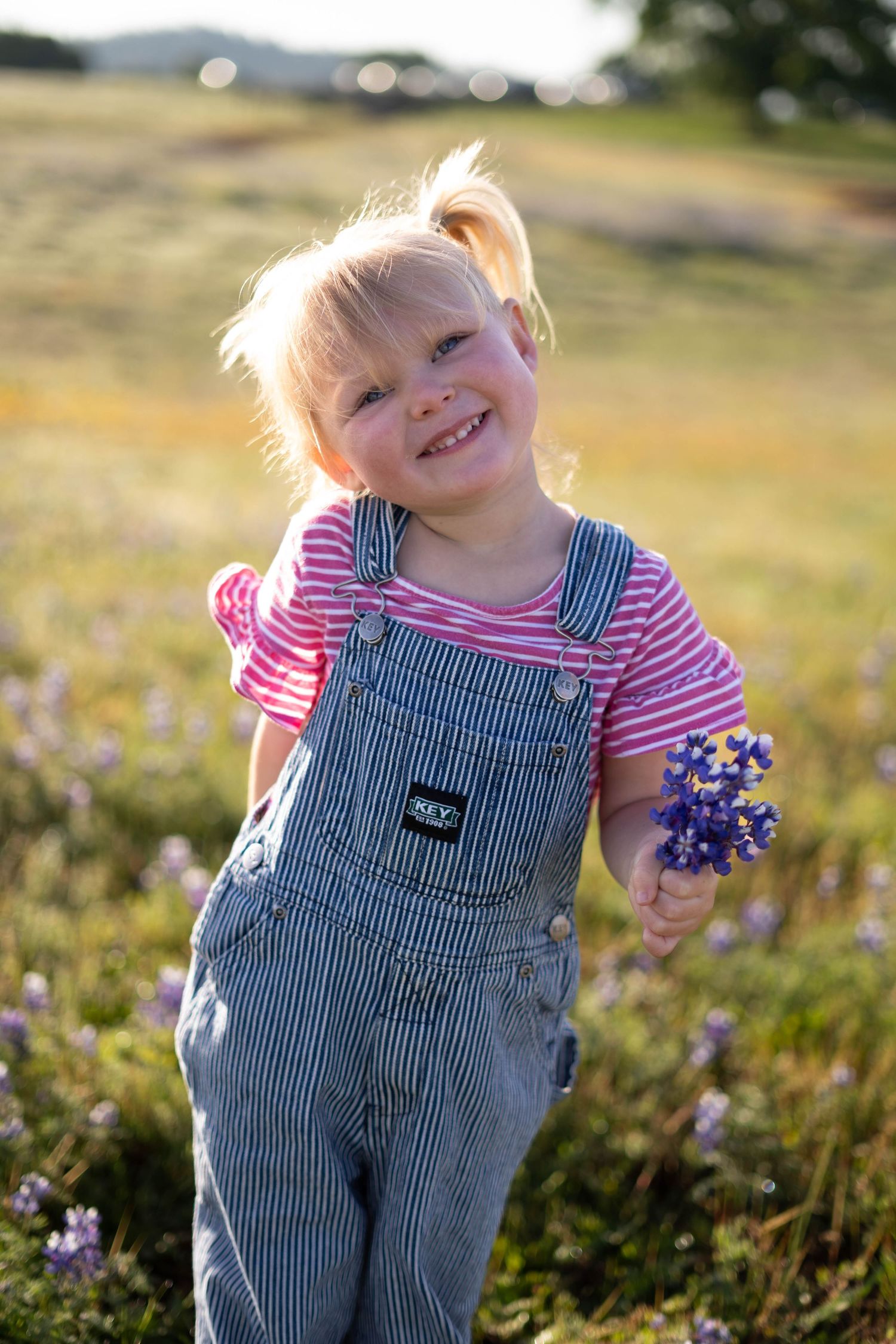 Child in striped overalls playing among wildflowers in a sunny meadow.