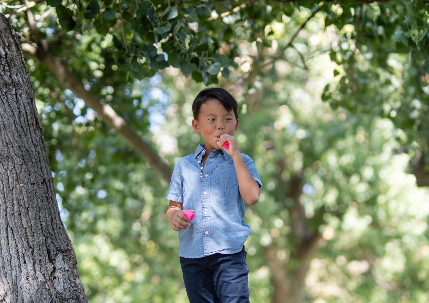 A child in blue clothing plays outdoors among trees.