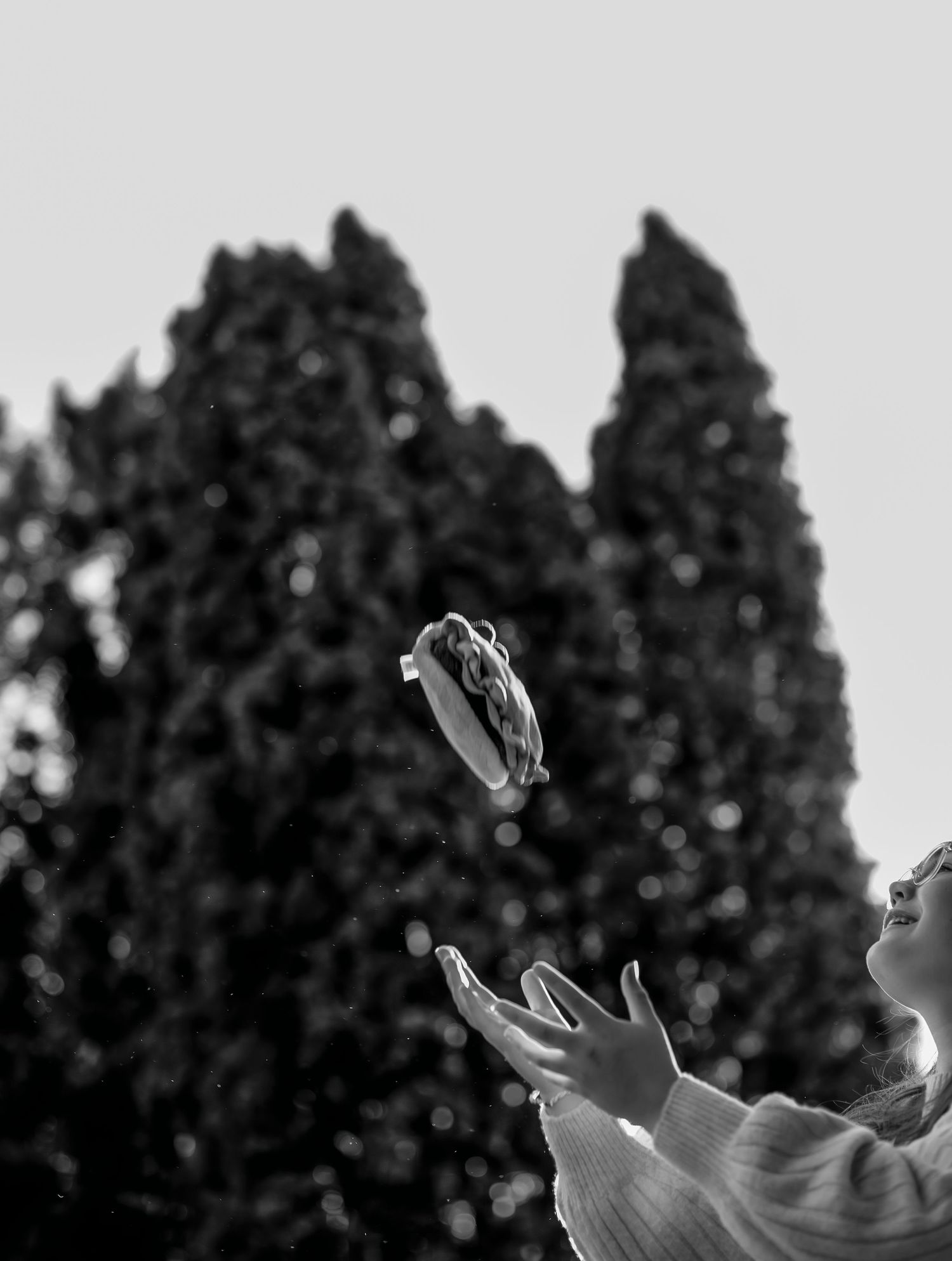 A black and white taco in the air