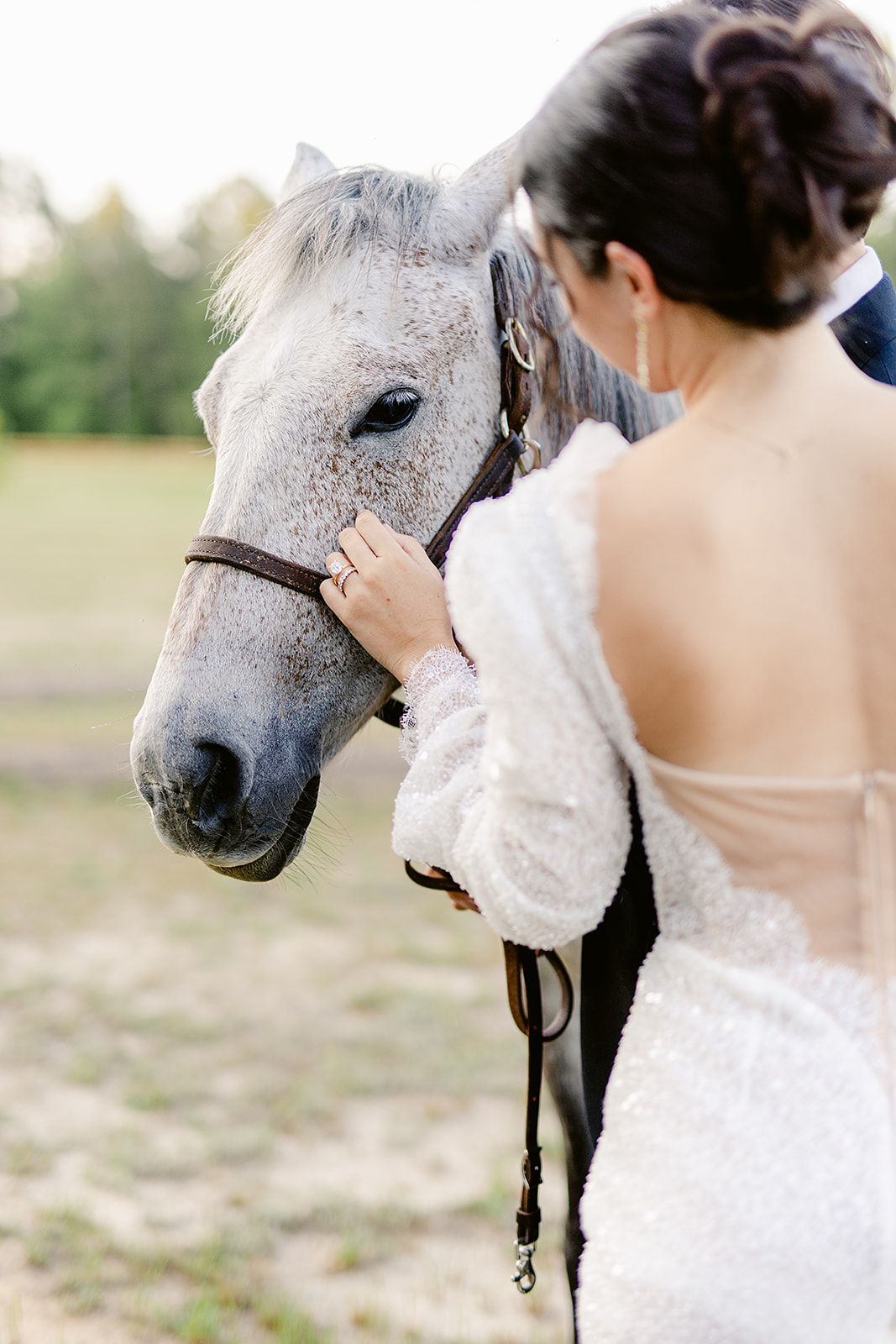 A white horse being lovingly petted during a wedding photoshoot in an outdoor field.