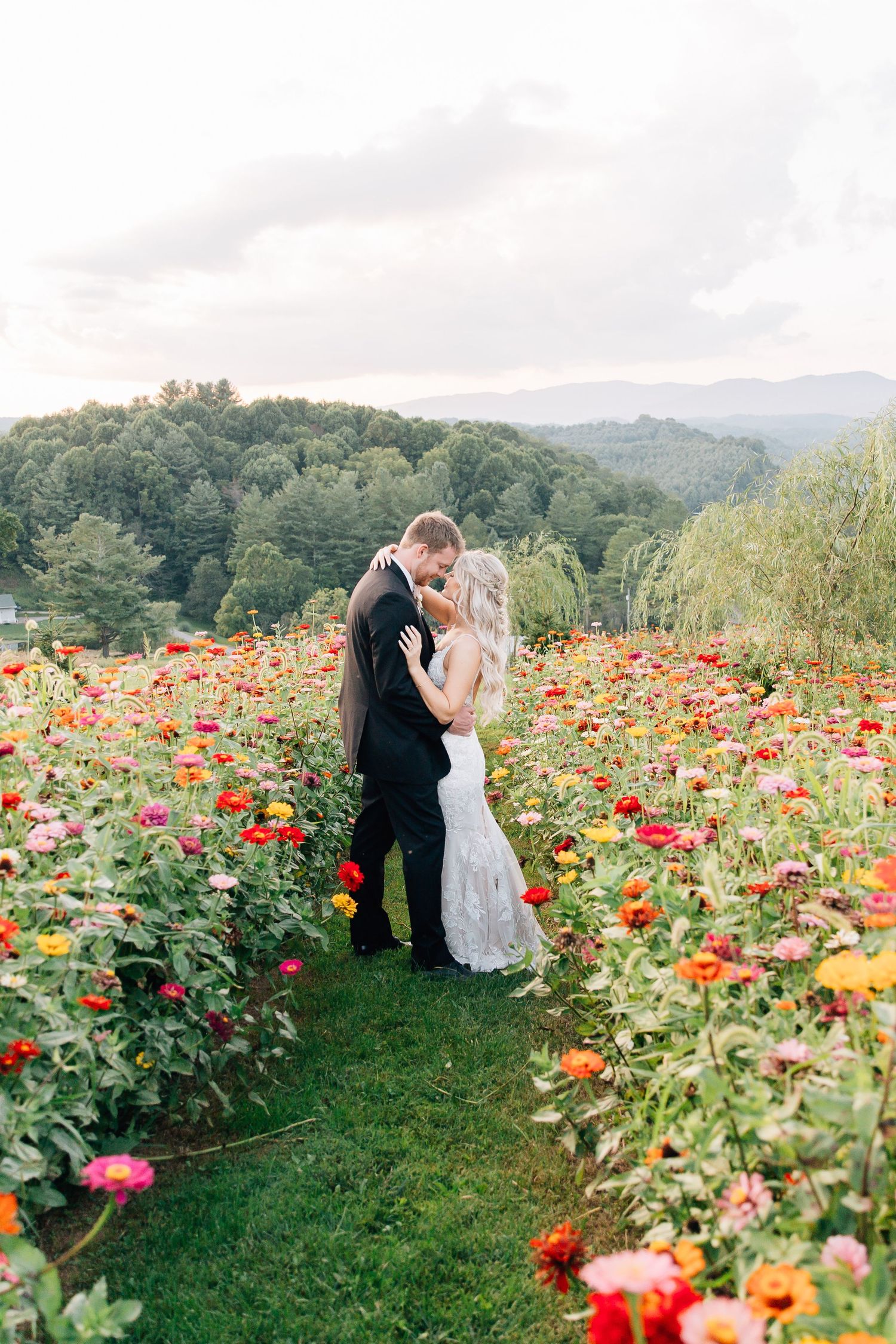A romantic moment in a vibrant flower garden with mountains in the background during sunset.