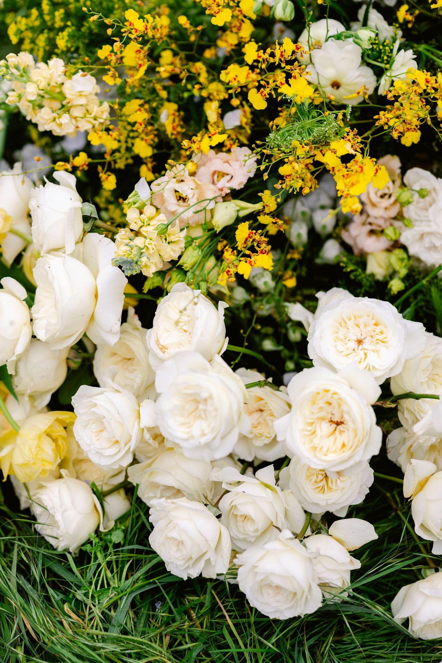 White garden roses bloom alongside vibrant yellow flowers in a lush garden setting.